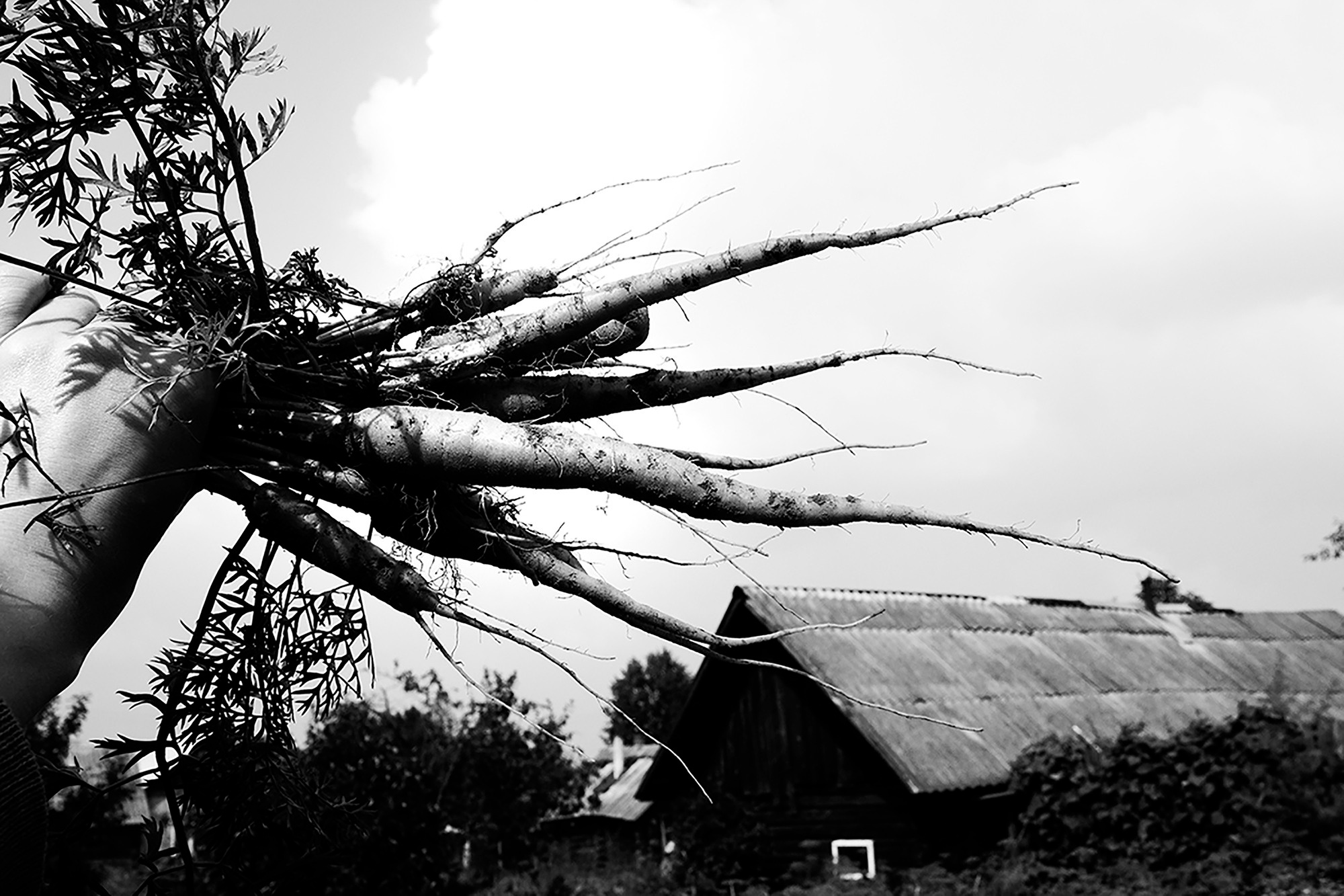 MALOSTOVKA. Documentary photographer, visual artist based in Germany