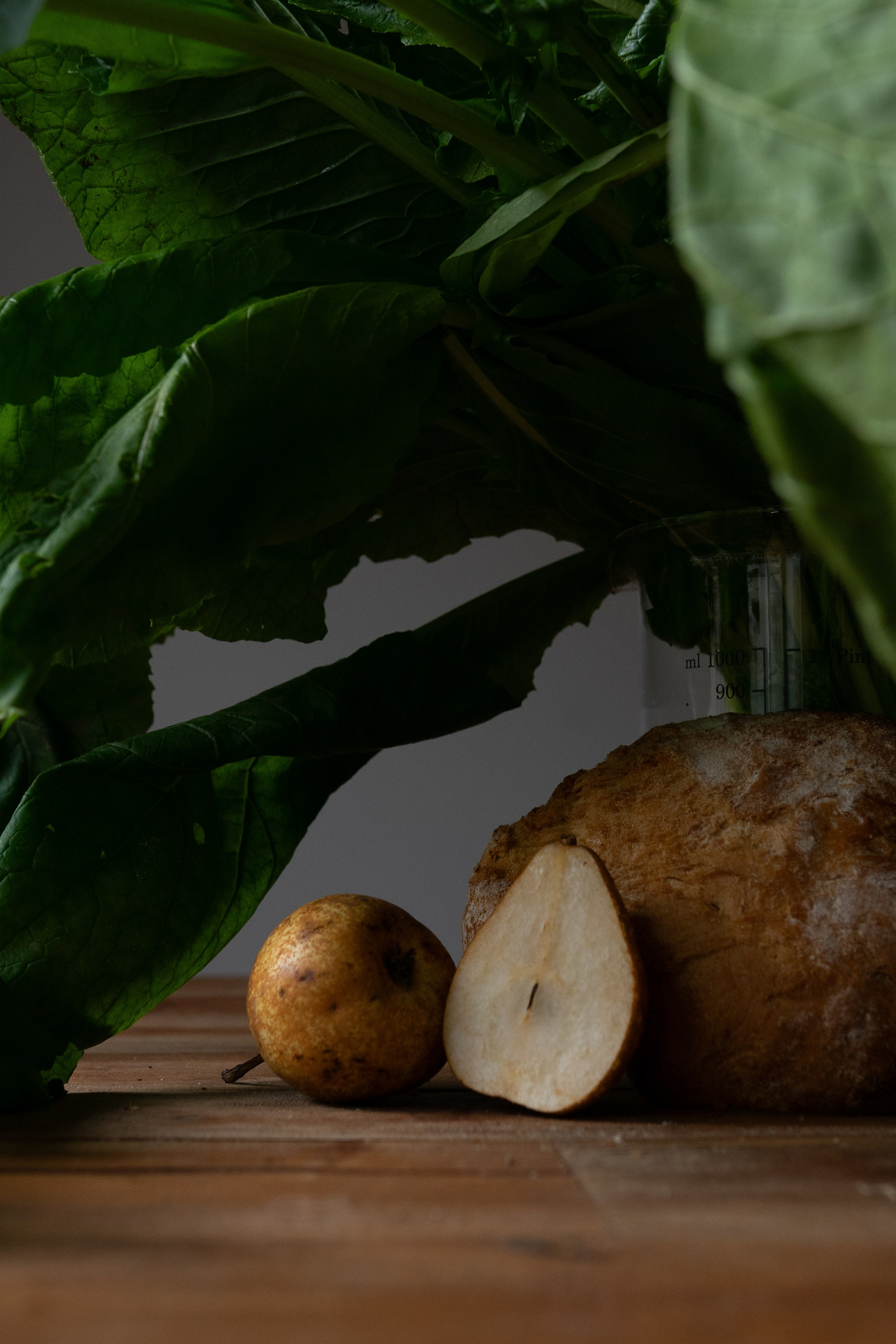 Roots. Мария Шер. Профессиональный фотограф в городе Порту, Португалия