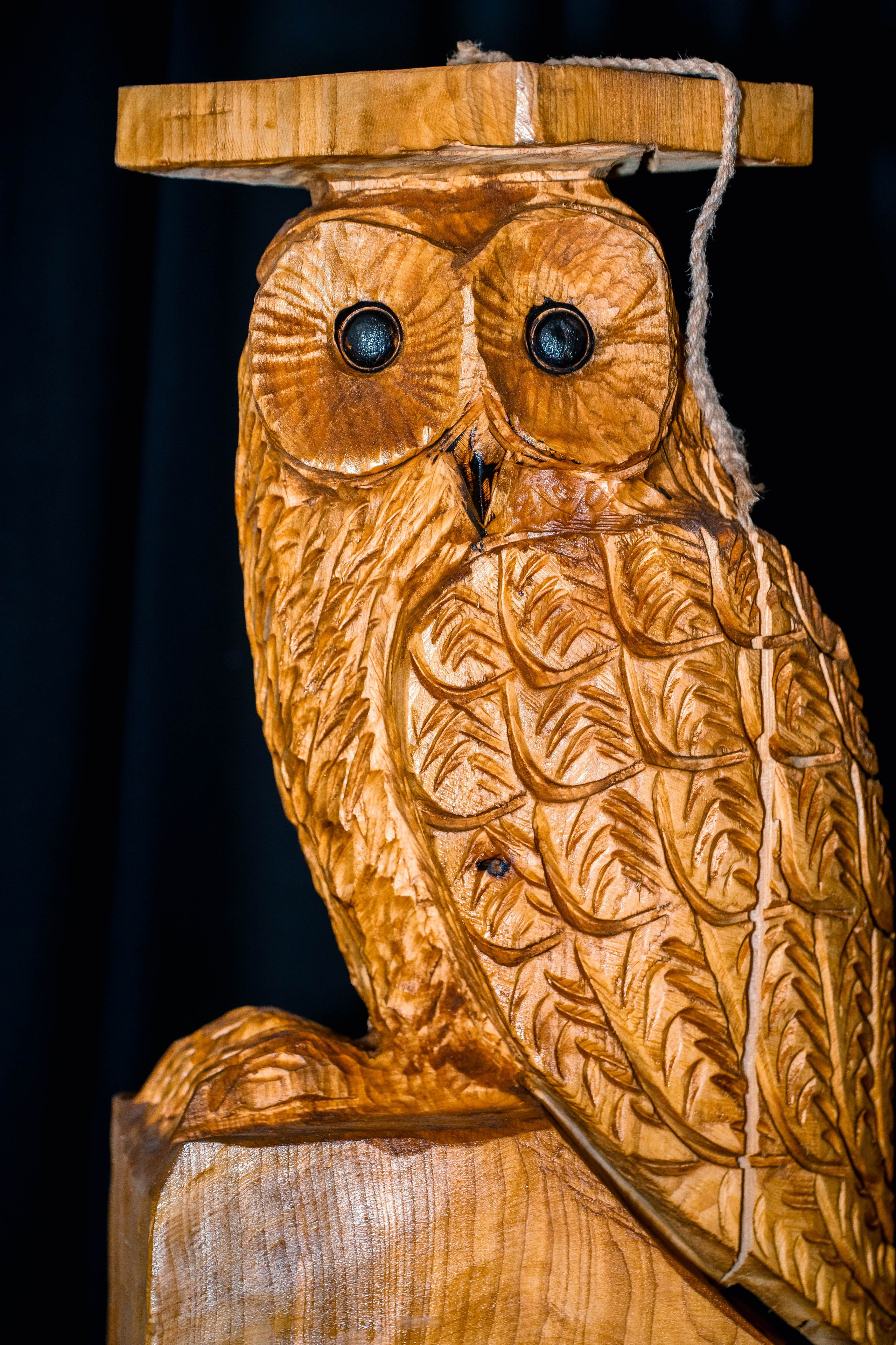 The Owl Society. Expect Miracles Photography by Kate & Andrew