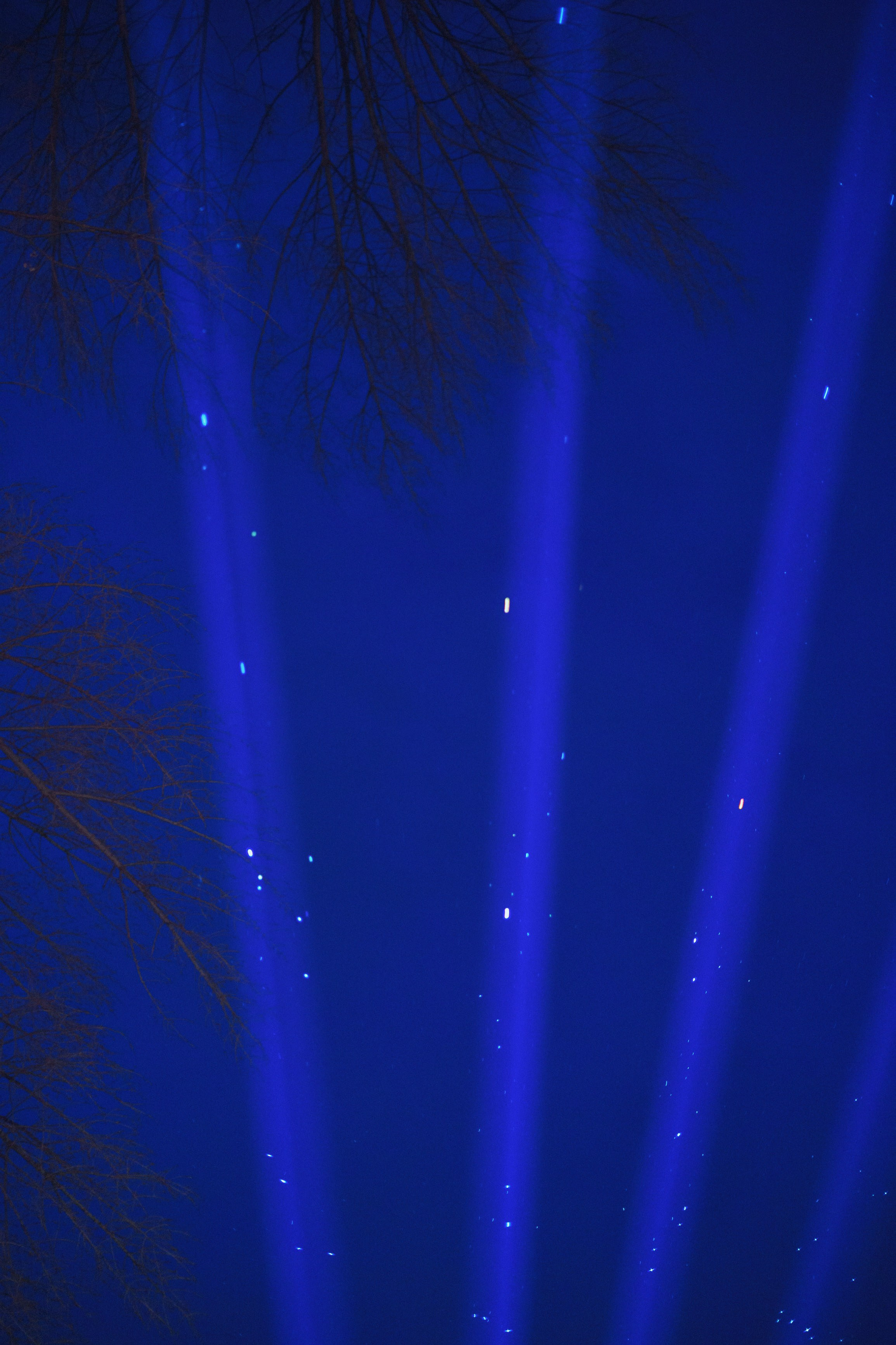 Svecano otvaranje Kineskog festivala svetla u Novom Sadu. Жуков Студио