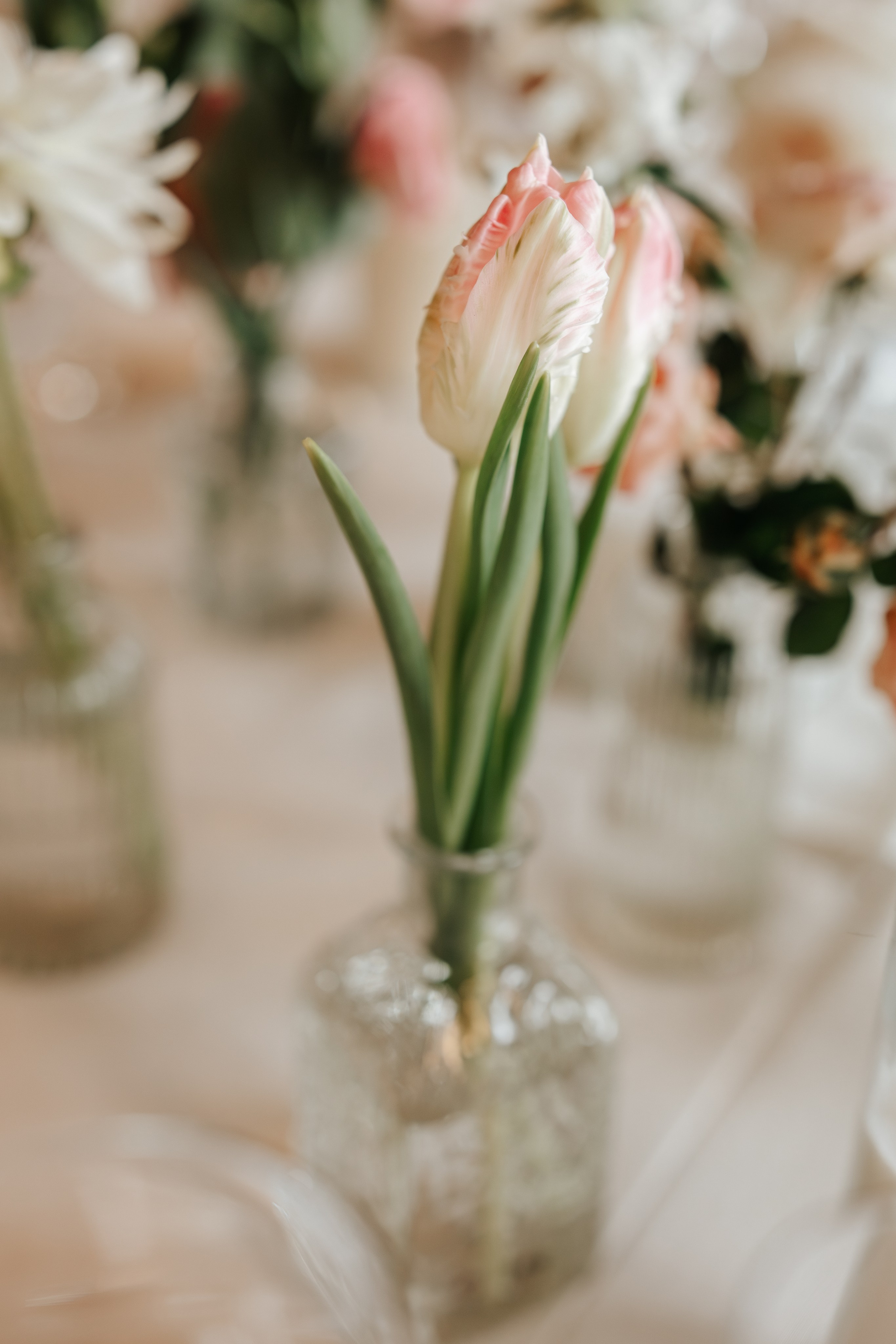 Mirthe+Julius, 08.11.2025, Finca Mas Battle. Fotógrafa de bodas en Cataluña