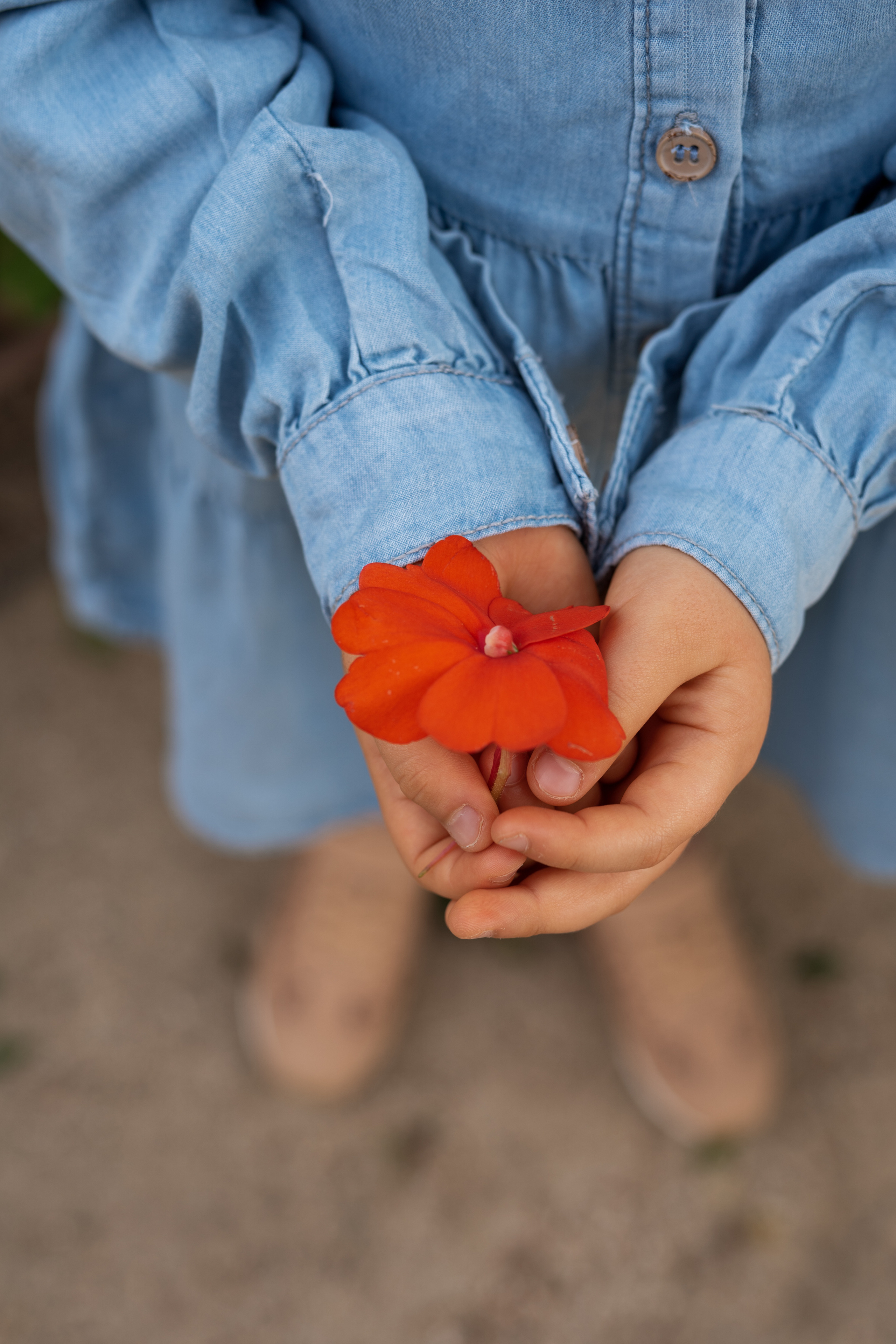 Family photo shooting photographer. Photographer in Madrid, Spain. Alyona Belyaninova