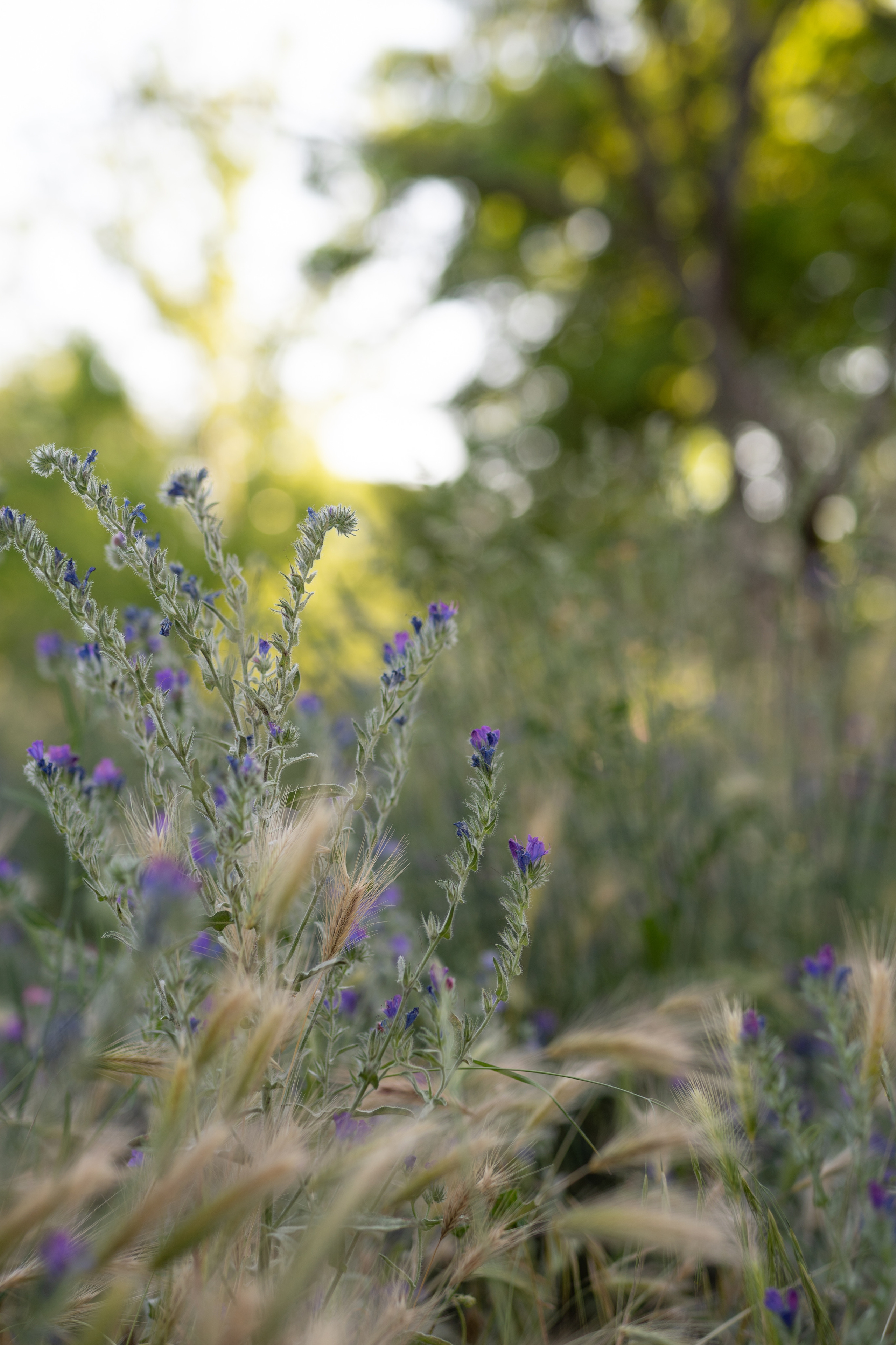 Grandmother with grandson photo shooting. Photographer in Madrid, Spain. Alyona Belyaninova