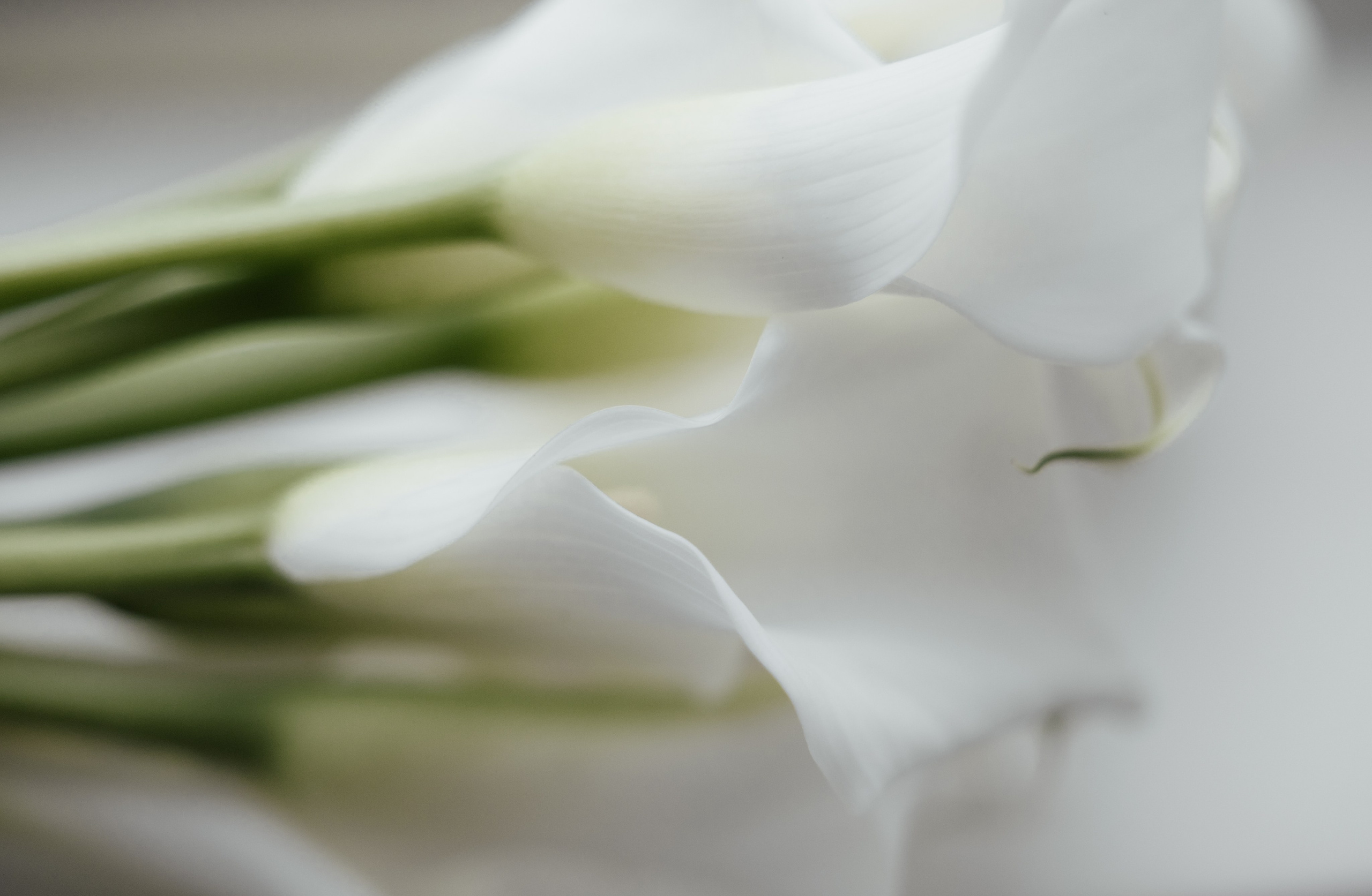 Luxury Wedding Photographer in London | Documentary & Editorial StyleElegant Editorial Wedding Photography – Candid & Timeless Moments, Authentic Wedding Storytelling – Documentary & Editorial Photographer, Cinematic & Refined Wedding Photos – Luxury Wedding Photography, Destination Wedding Photographer – Paris, London, France, Latvia, UK & Worldwide, Natural & Unscripted Wedding Moments – Documentary Wedding Photography, Fine Art Wedding Photography – Editorial Wedding Aesthetic, Luxury Wedding Photos with Soft, Timeless Edits | Editorial Touch, Bespoke Wedding Photography – Candid & Authentic Love Stories, Elegant & Romantic Wedding Photography – Stylish & Timeless Memories, LIGA KALNINA Documentary editorial wedding photography