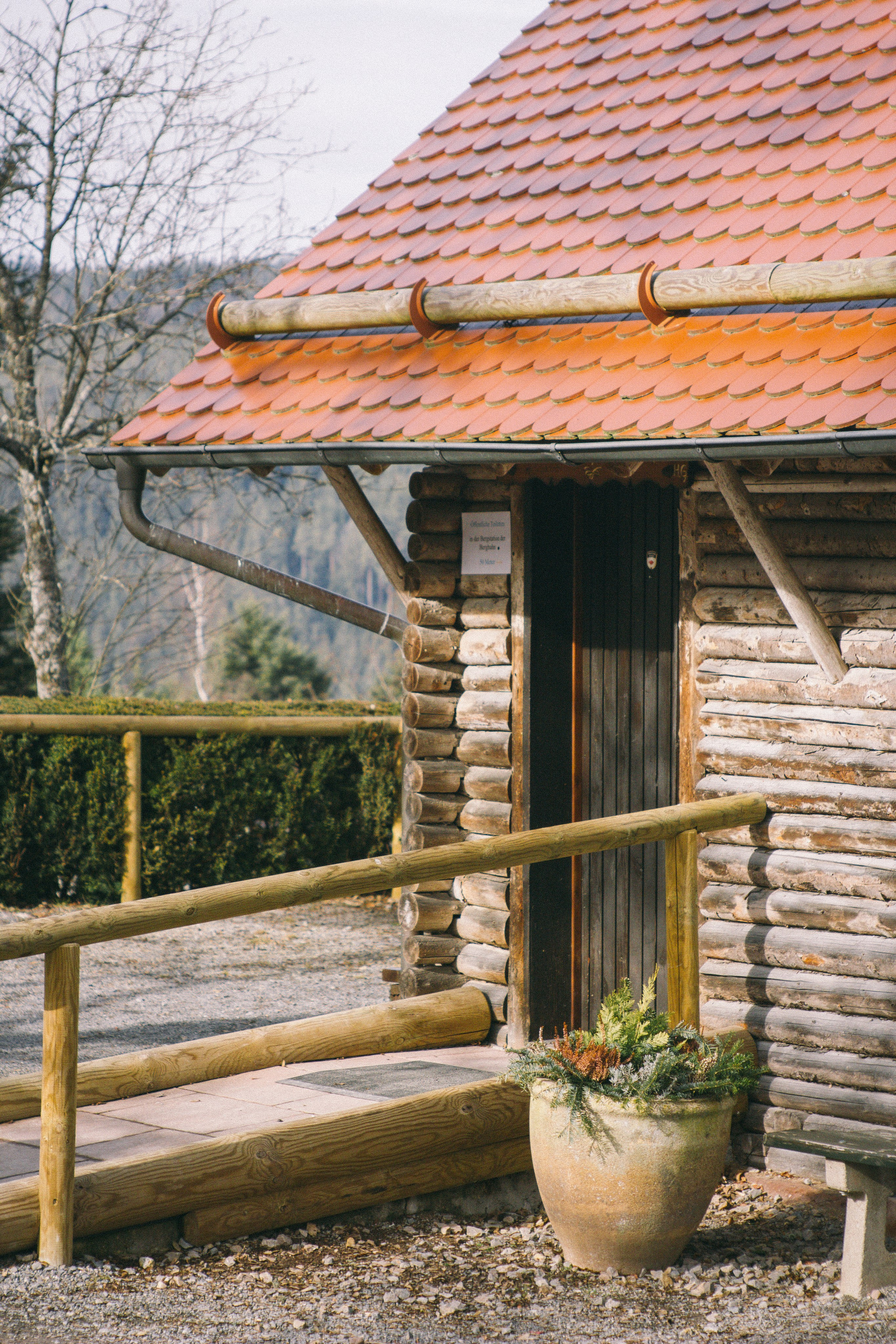 Над вершинами деревьев Baumwipfelpfad. Фотограф в Германии — Мария Чистякова