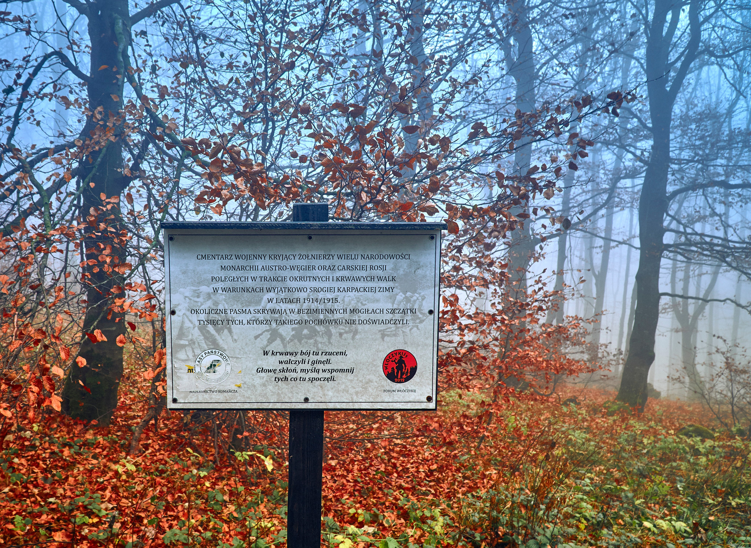 Bieszczady - tu zatrzymuje się czas. Andriej Szypilow - Fotografia & Wideografia