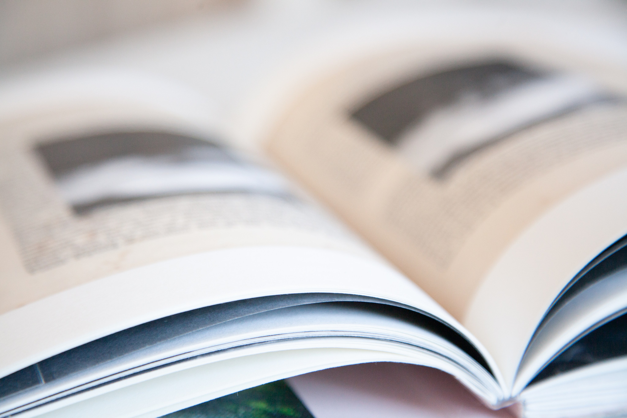 The Garden of Earthly Delights. Sveta Kaverina