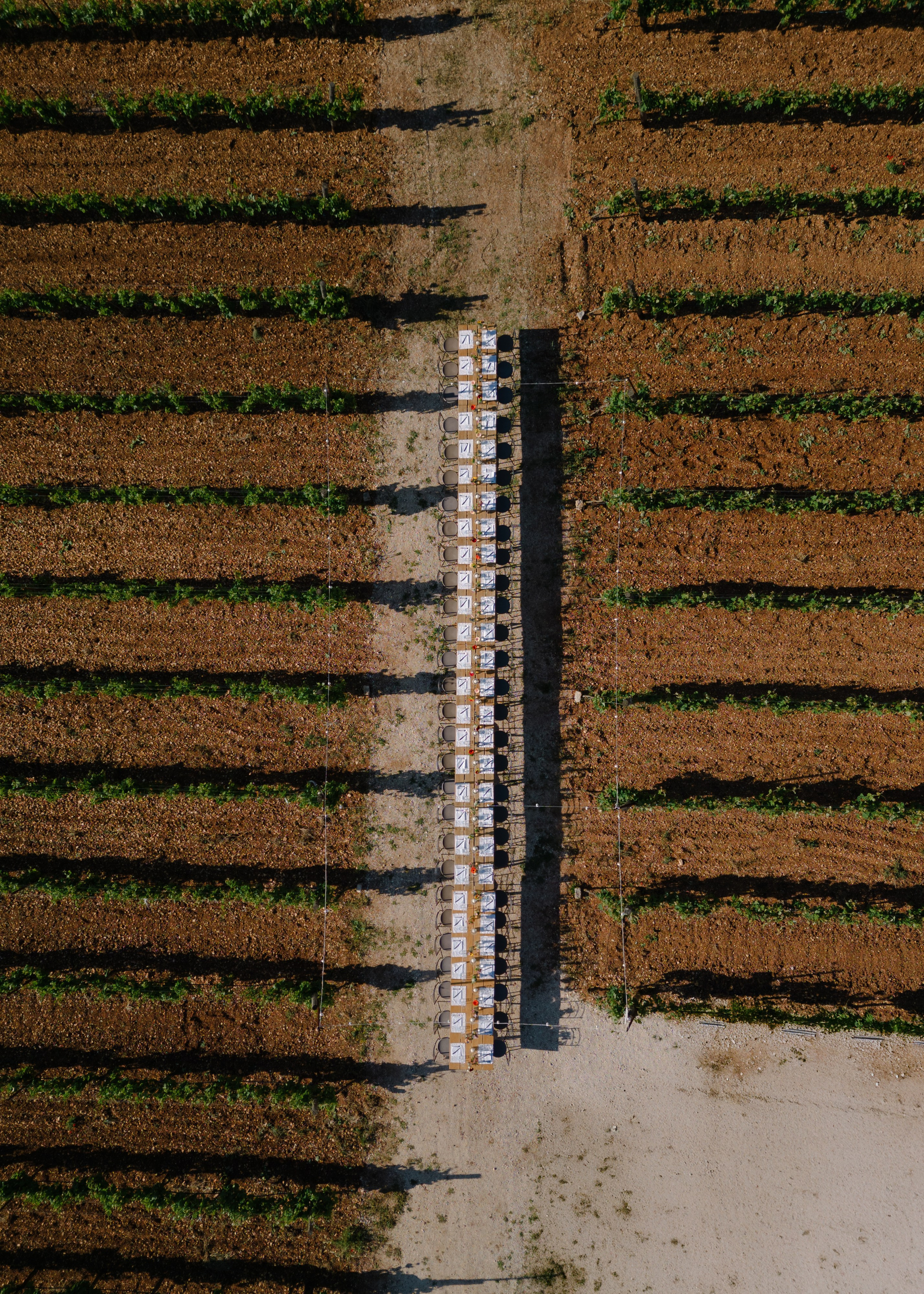 2. Весільний фотограф Вікторія Саврук