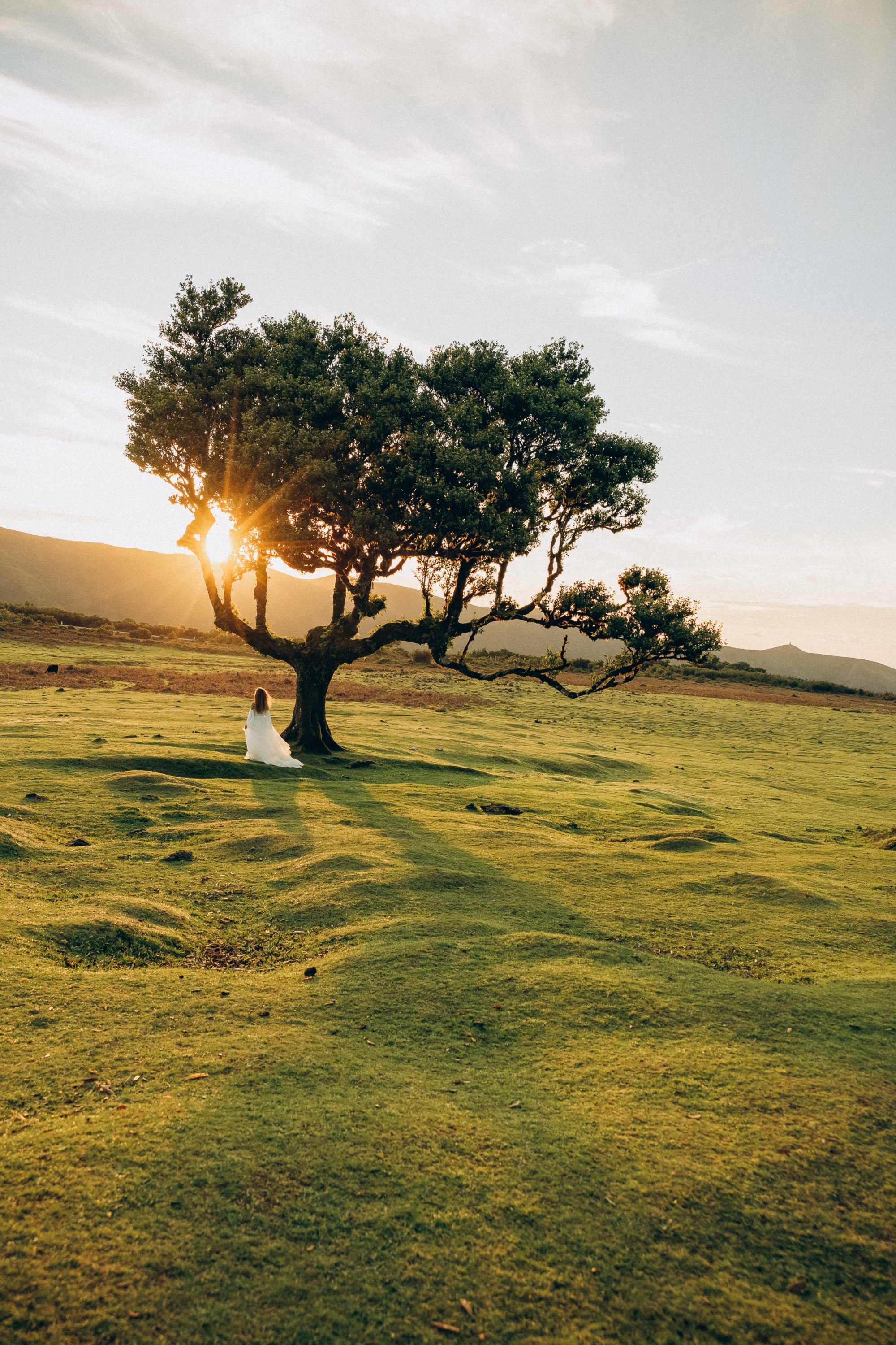 Capturing serene and magical moments among the ancient laurel trees.