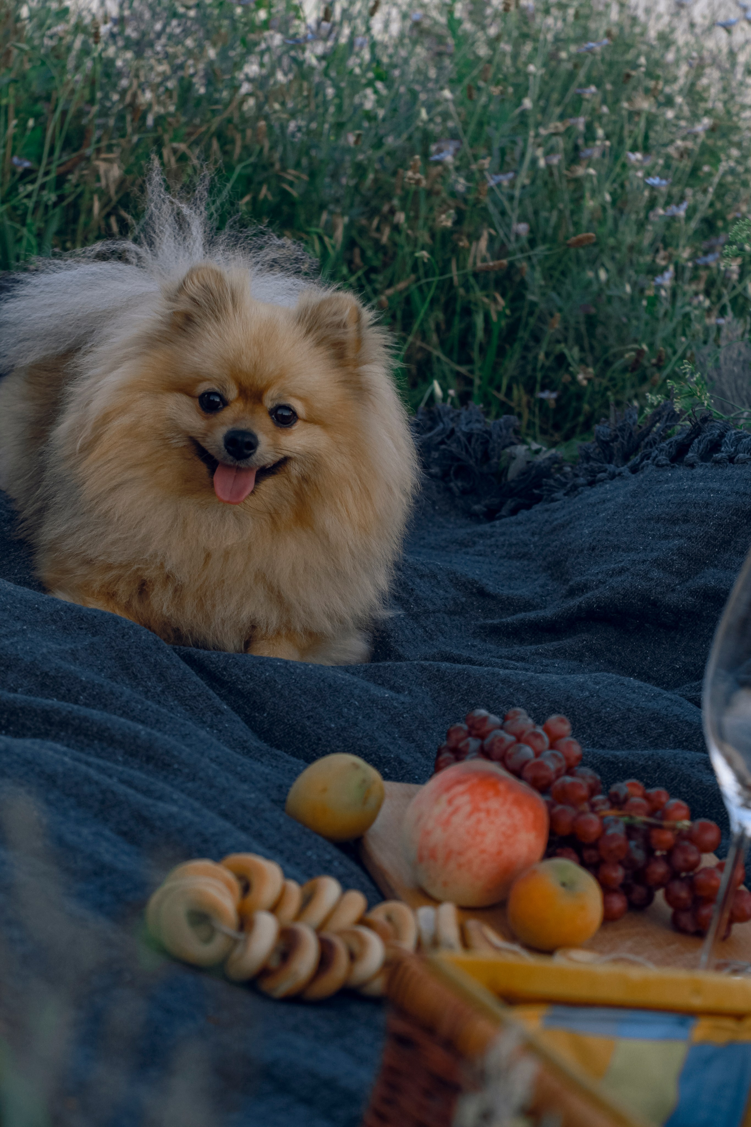 Victoria’s family. Iryna Zhyvora | Photographer | Stockholm