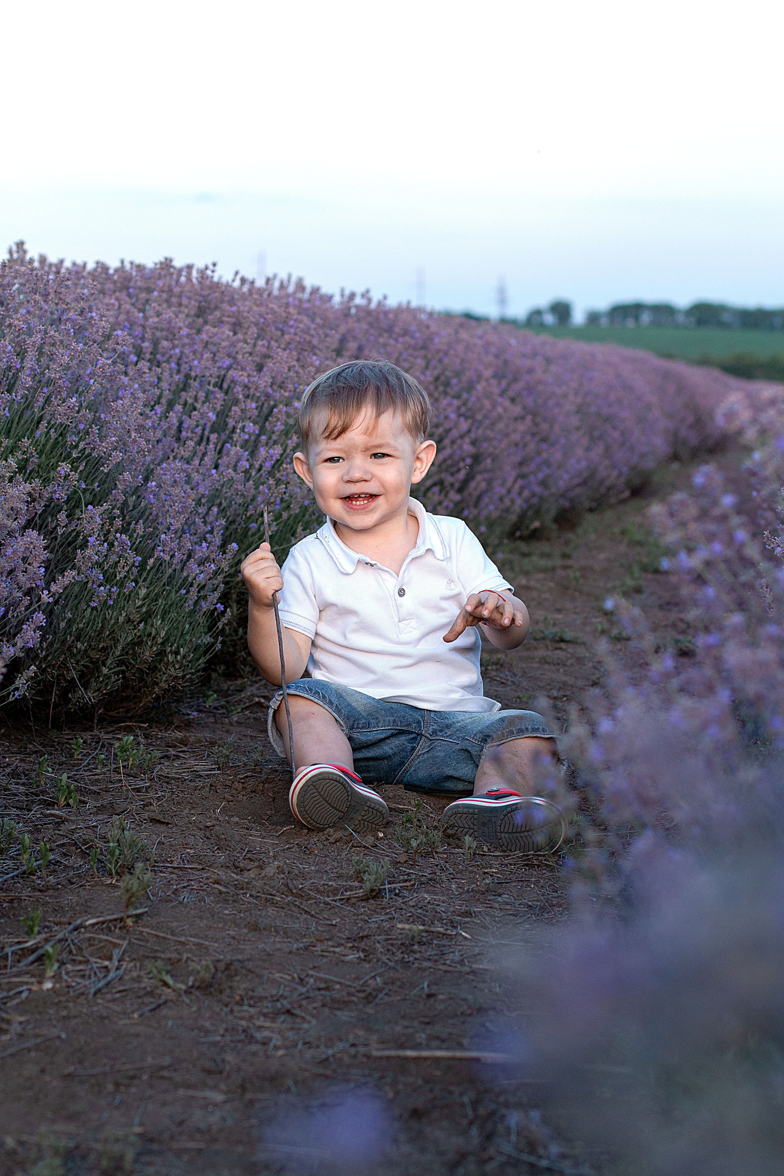 Лаванда. Детский и семейный фотограф в г. Бельцы