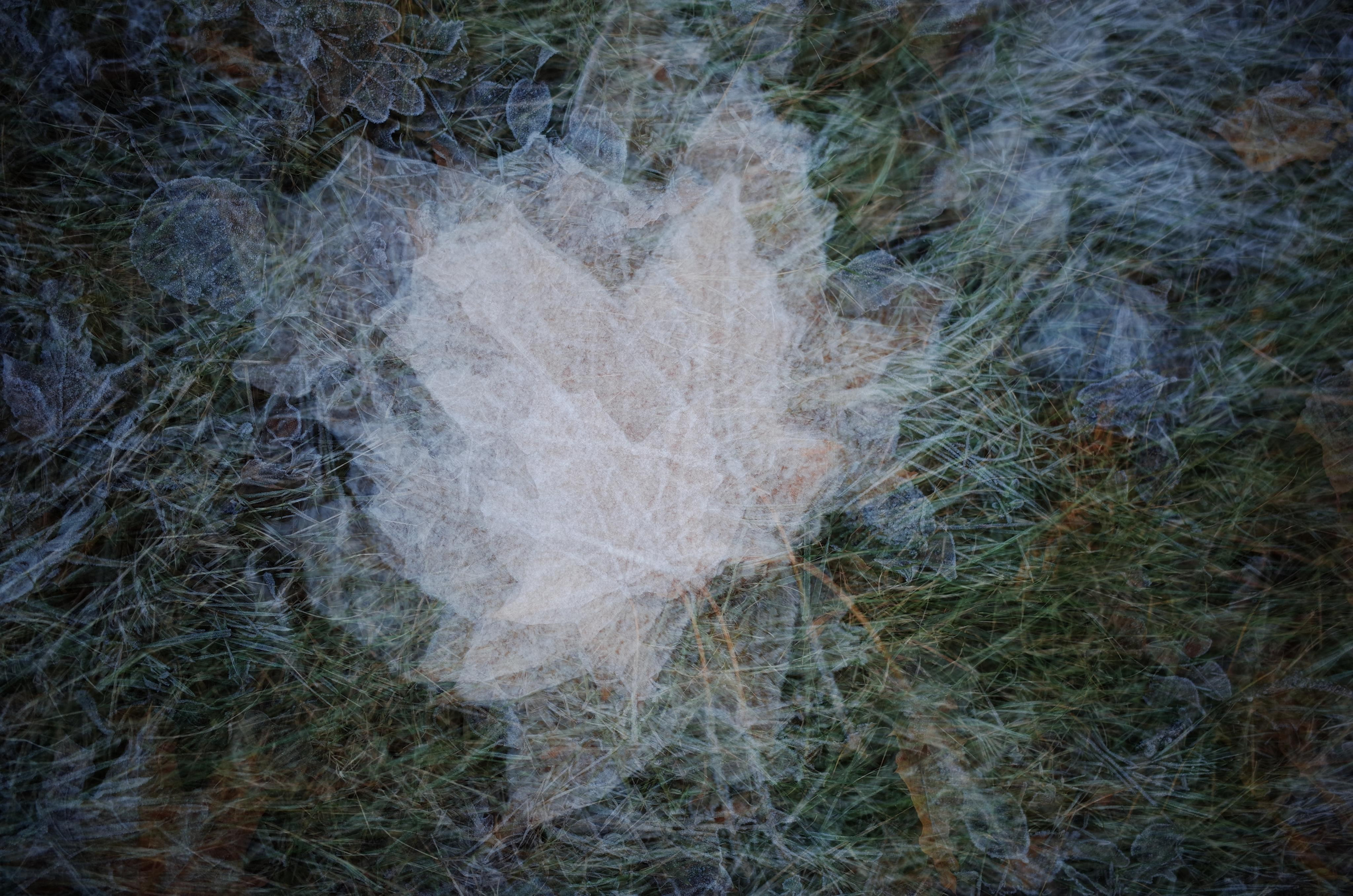 Demeter Dreams. Victoria Dini. Art photography in London / Folkestone, UK