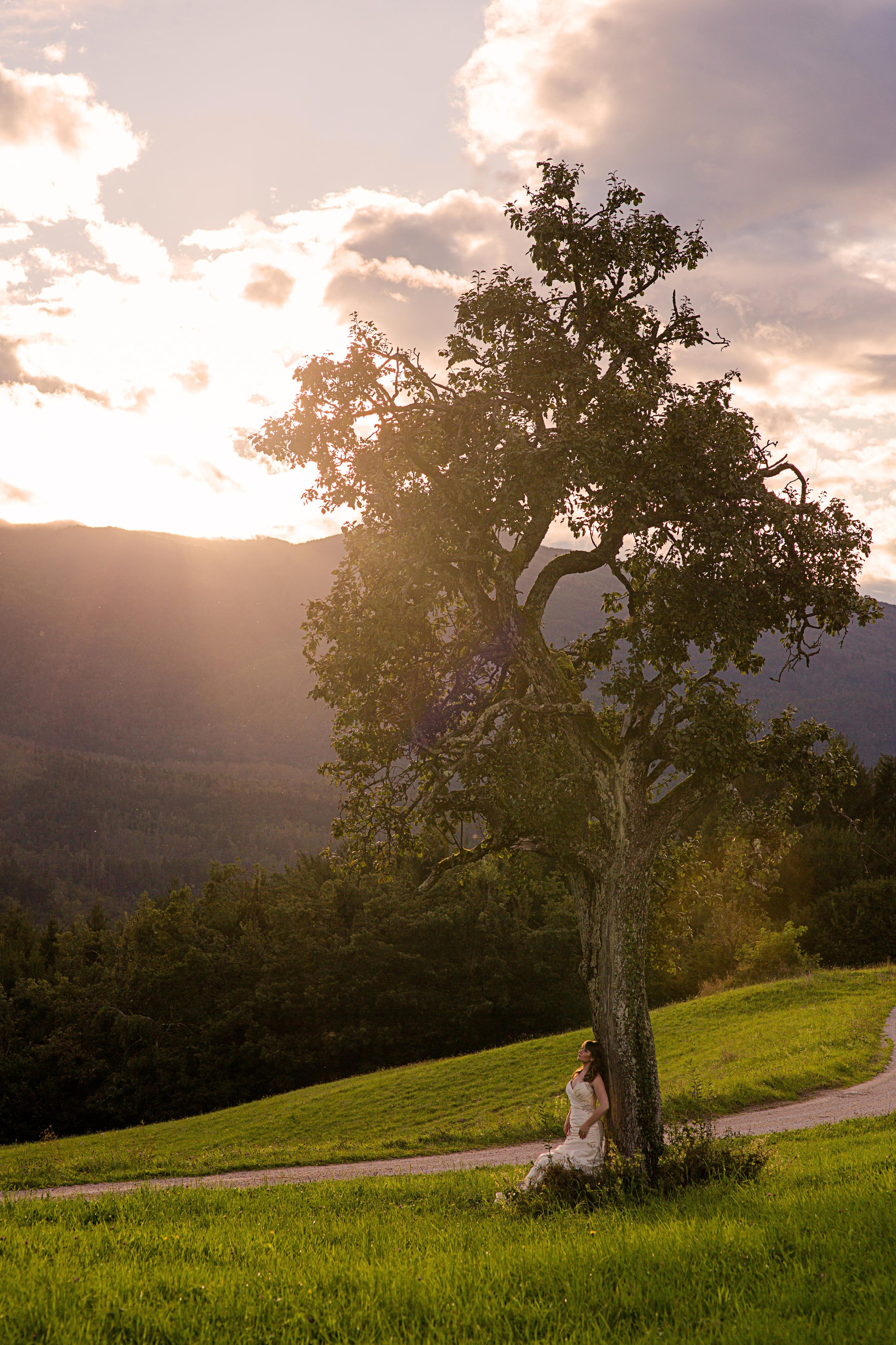 Hochzeitsfotos - Fotograf Michael Baron. Fotograf in Deutschland - Michael Baron