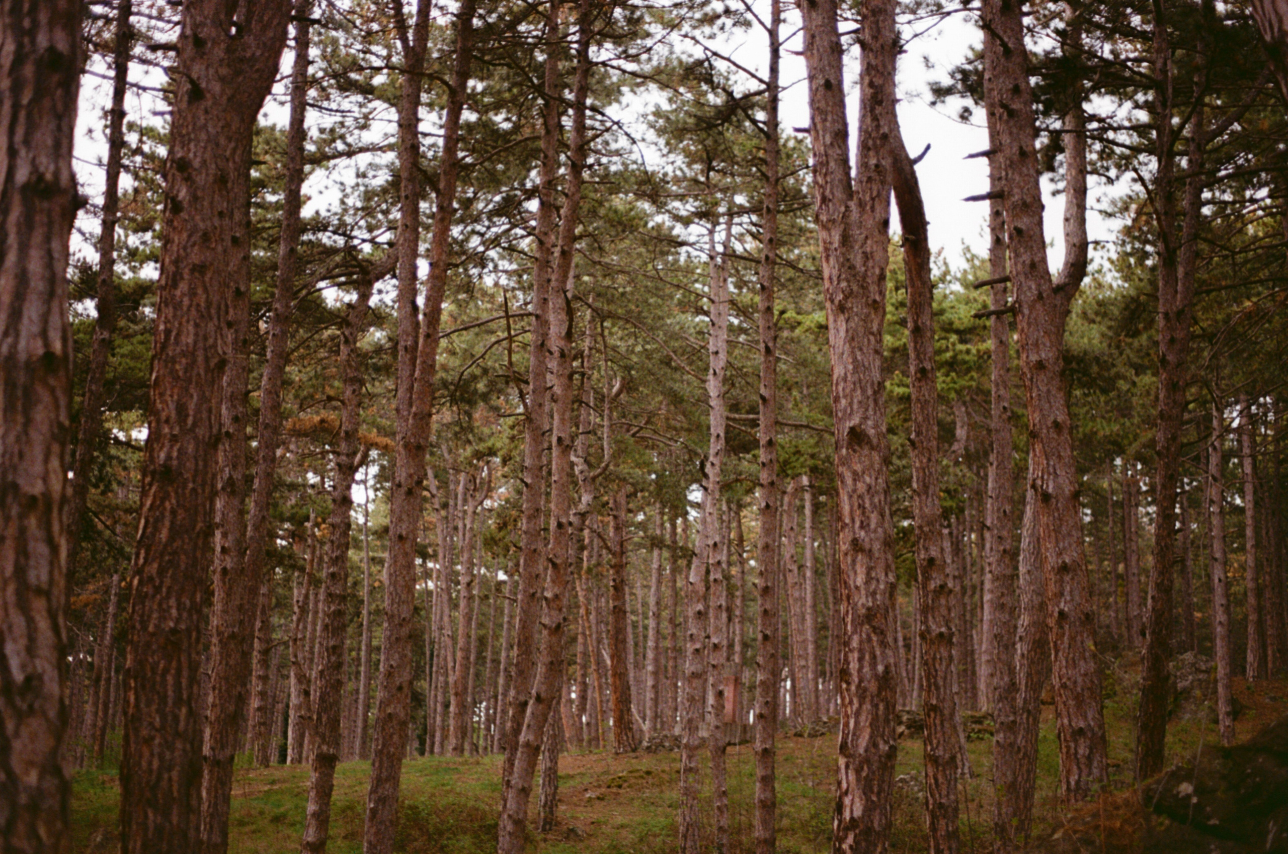 Still Home. Professional Photographer, Videographer in London Dilyana Tankova