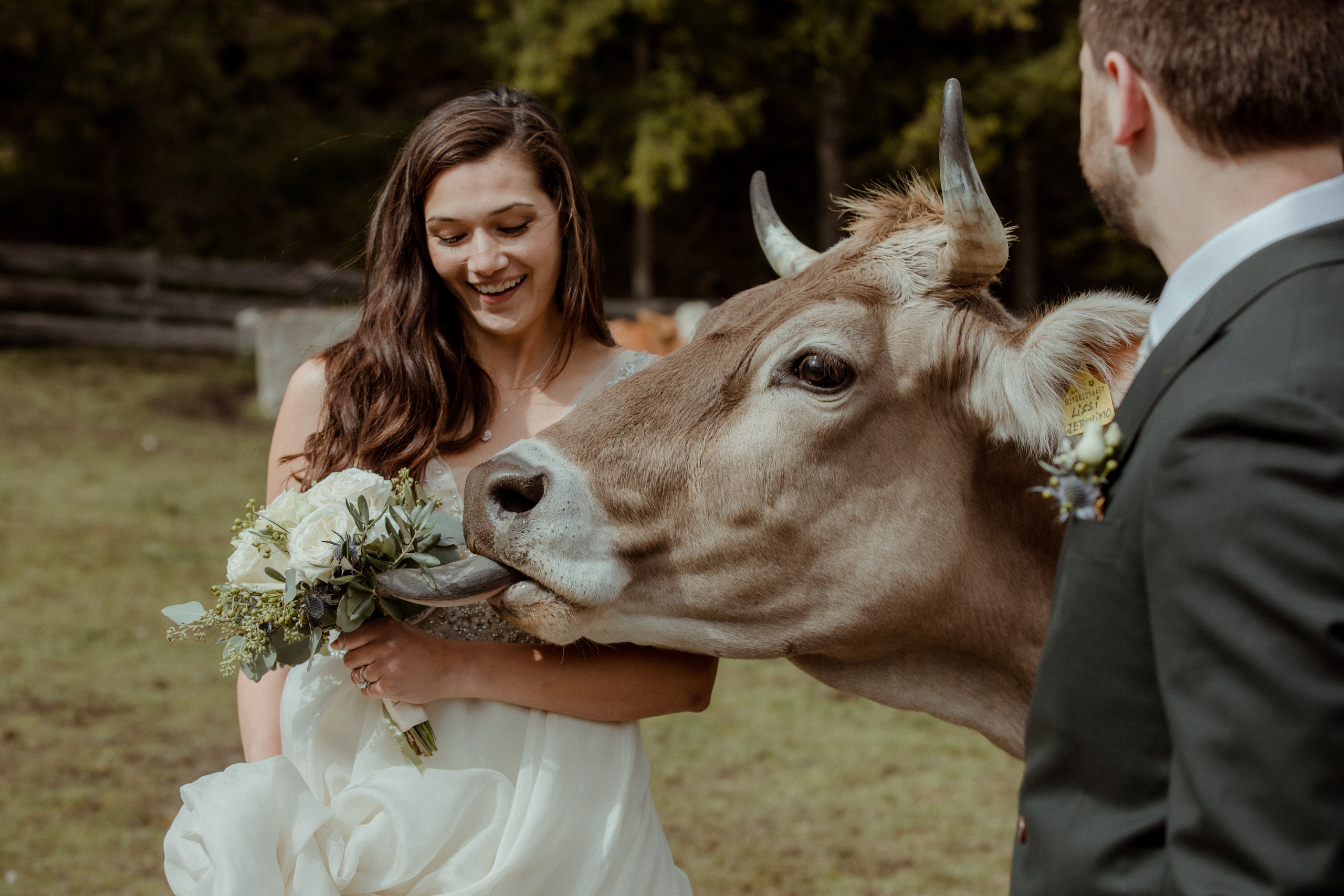 Andrea+Justin. Iceland elopement photo and video | Nikolaichik Photo