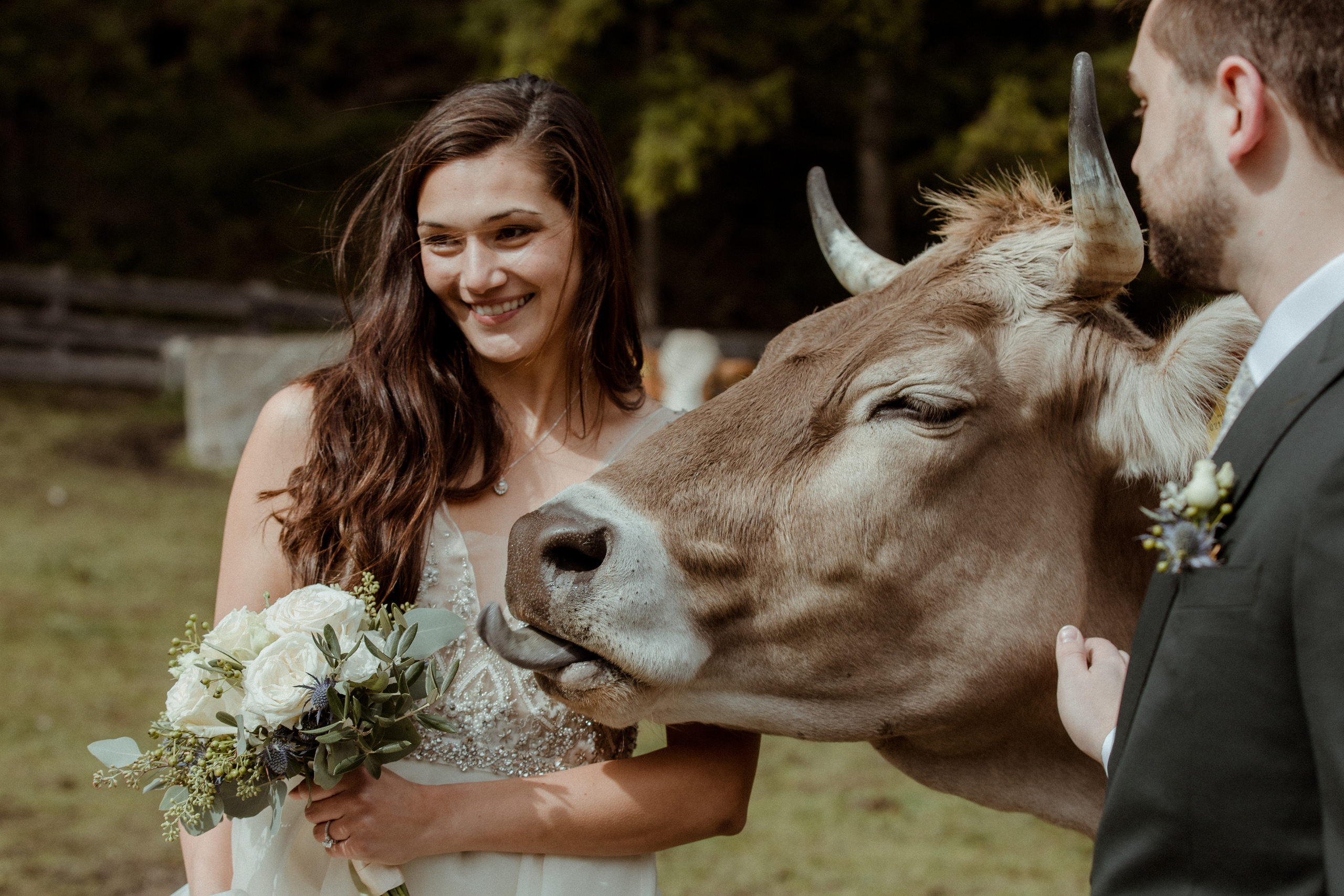 Andrea+Justin. Iceland elopement photo and video | Nikolaichik Photo