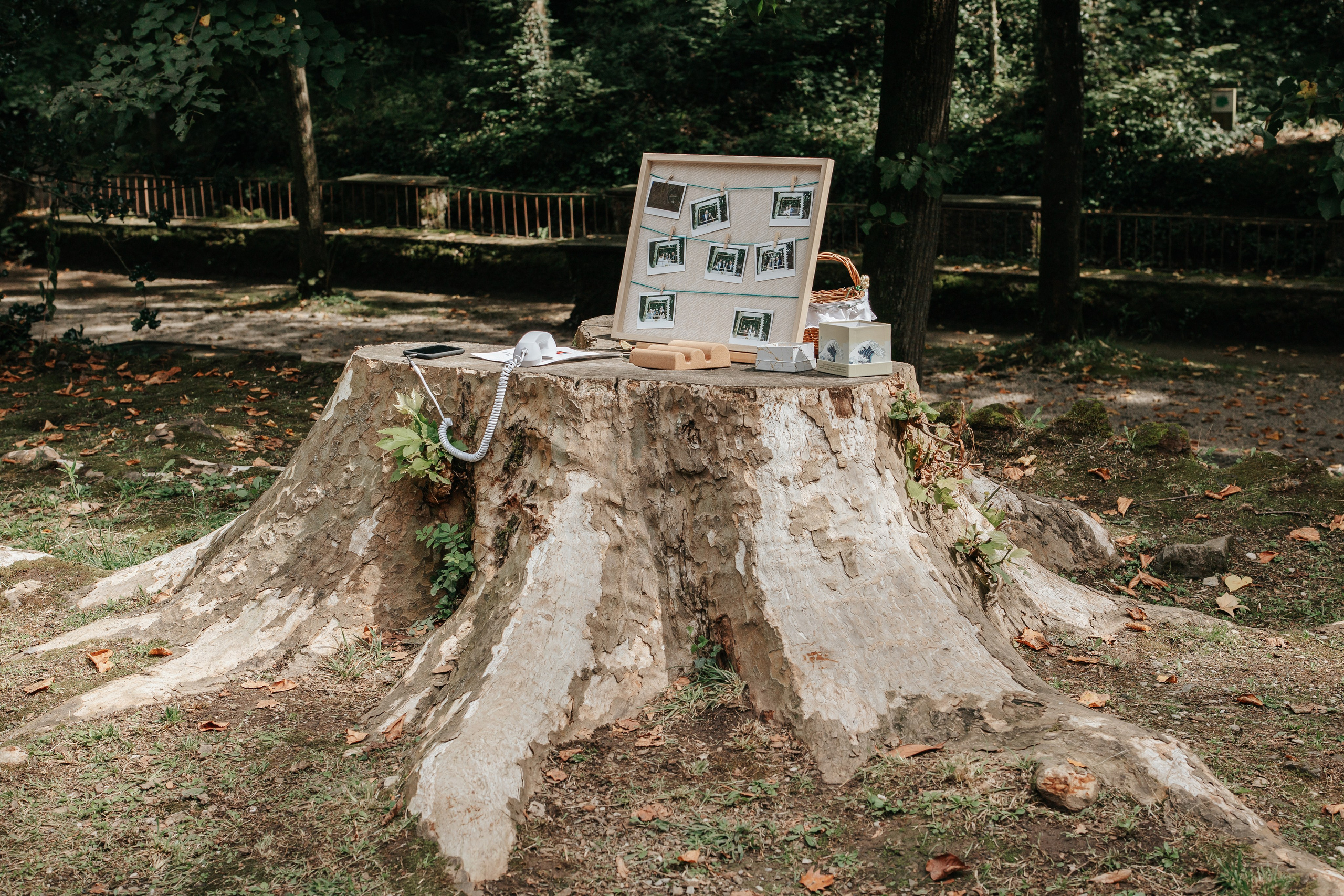 Aina+Albert, 14.09.2025, Restaurant Font Moixina. Fotógrafa de bodas en Cataluña