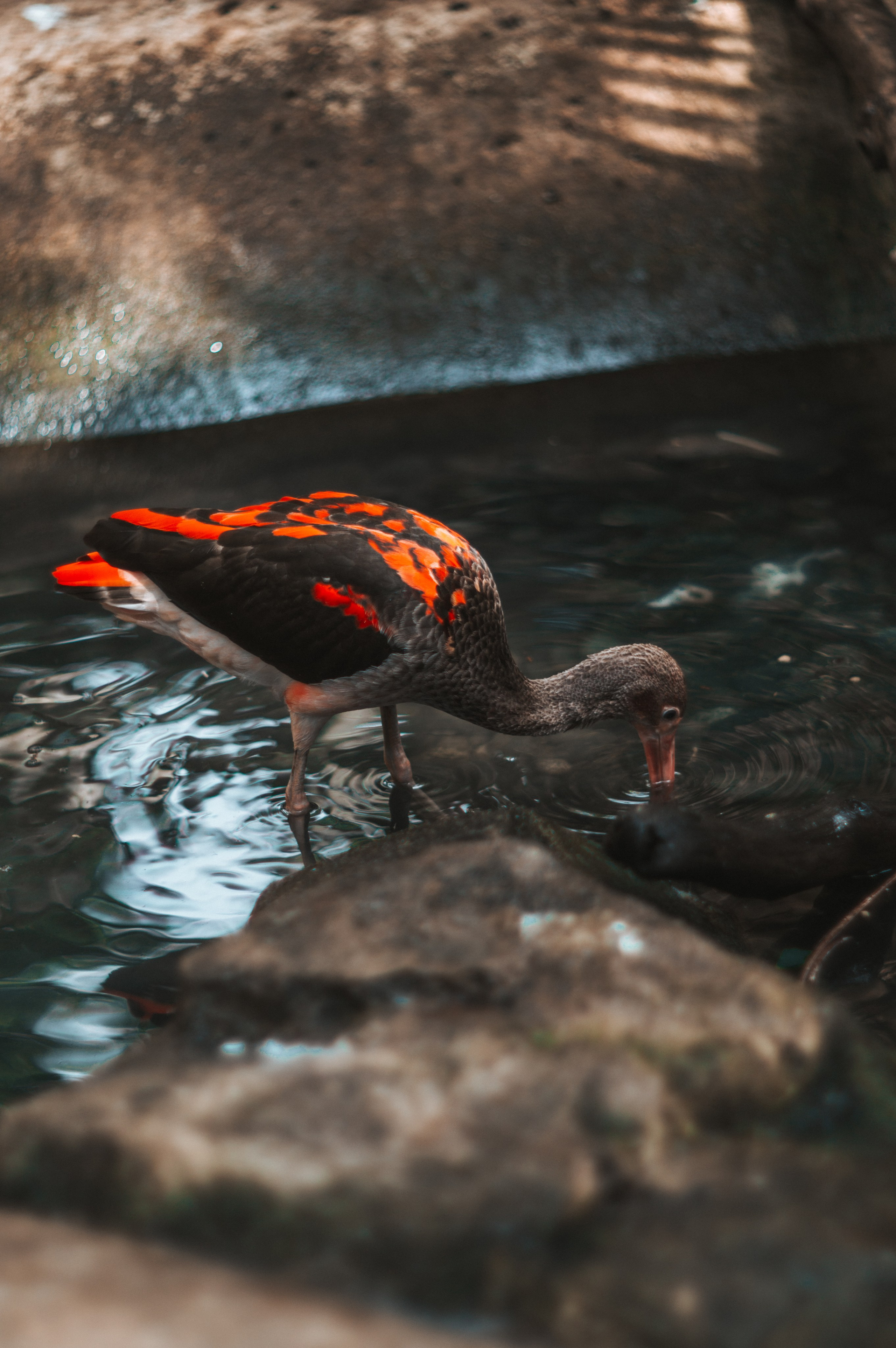 Франция. Анастасия Благова — Твой фотограф в Малаге 🇪🇸