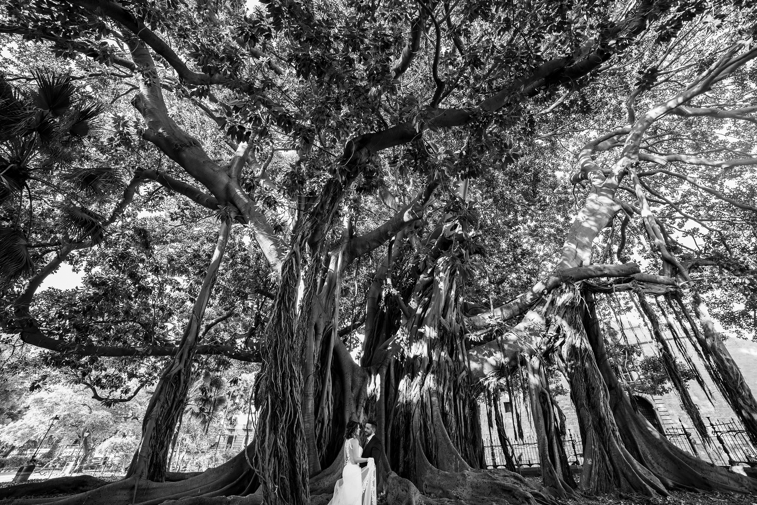 Tiziana & Leandro. Свадьба на Сицилии, Палермо, Таормина, Эриче