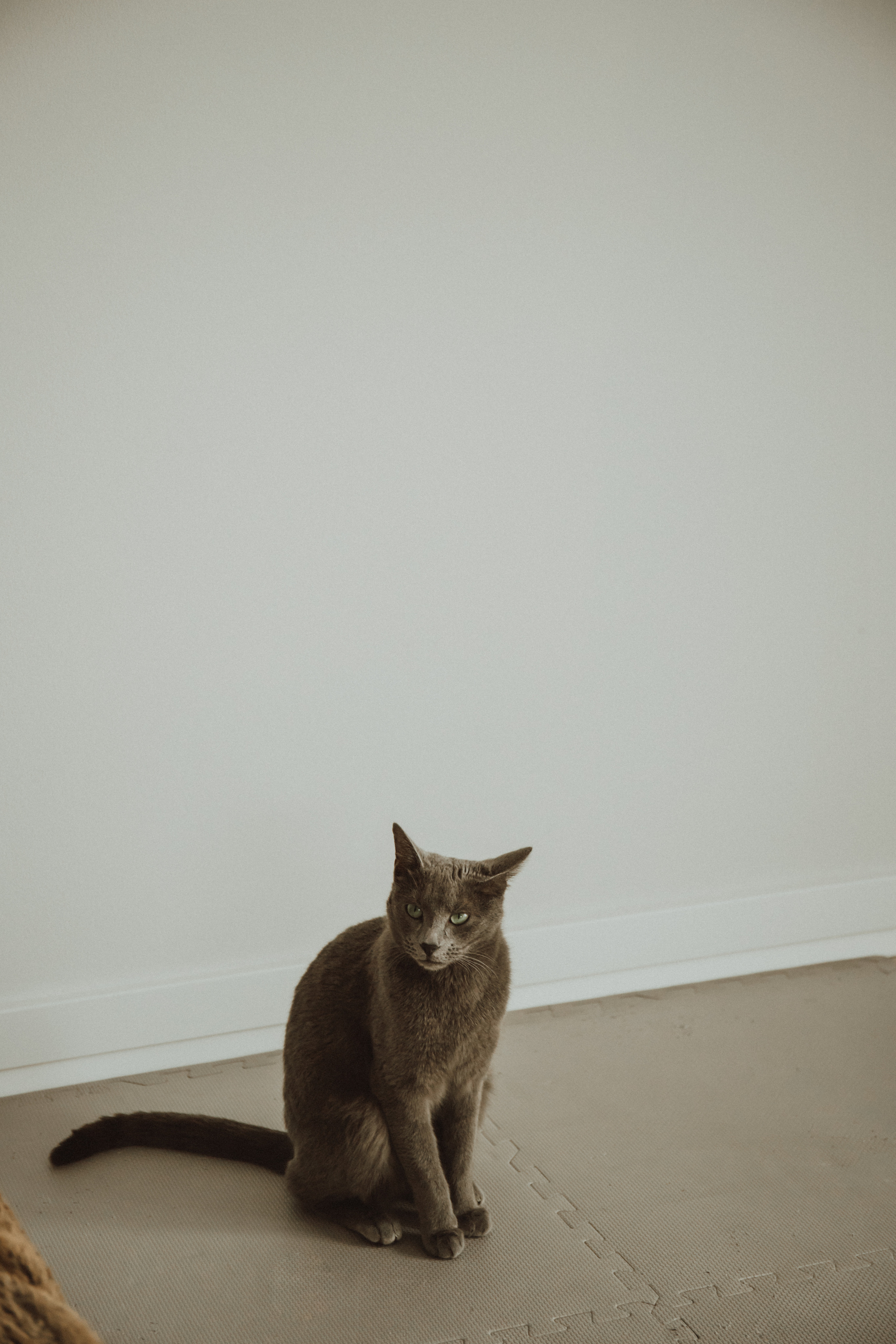 NATALIA MATEUSZ. Fotograf Mykhalchuk Inna Kraków