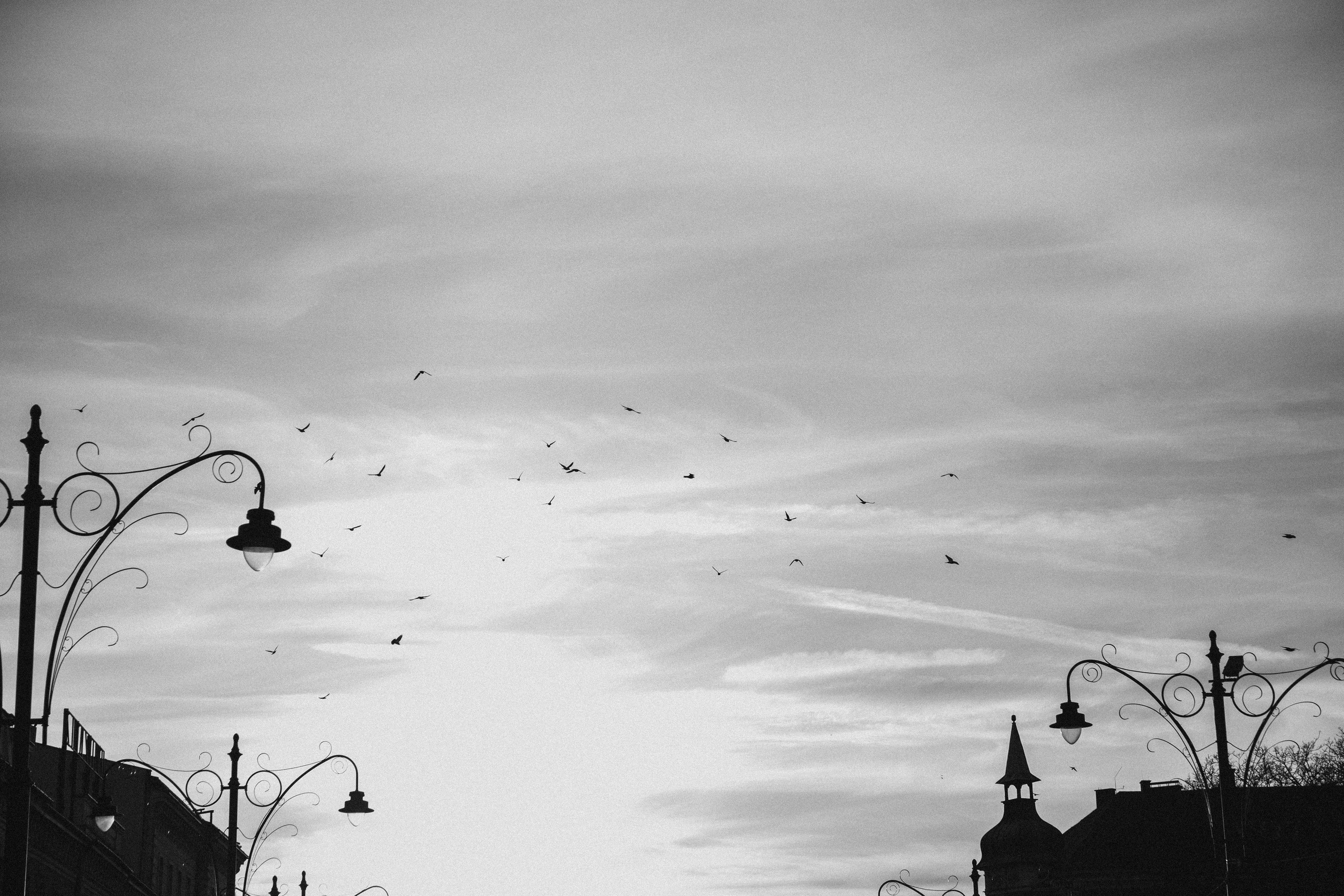 ANDREY VERONIKA. Fotograf Mykhalchuk Inna Kraków