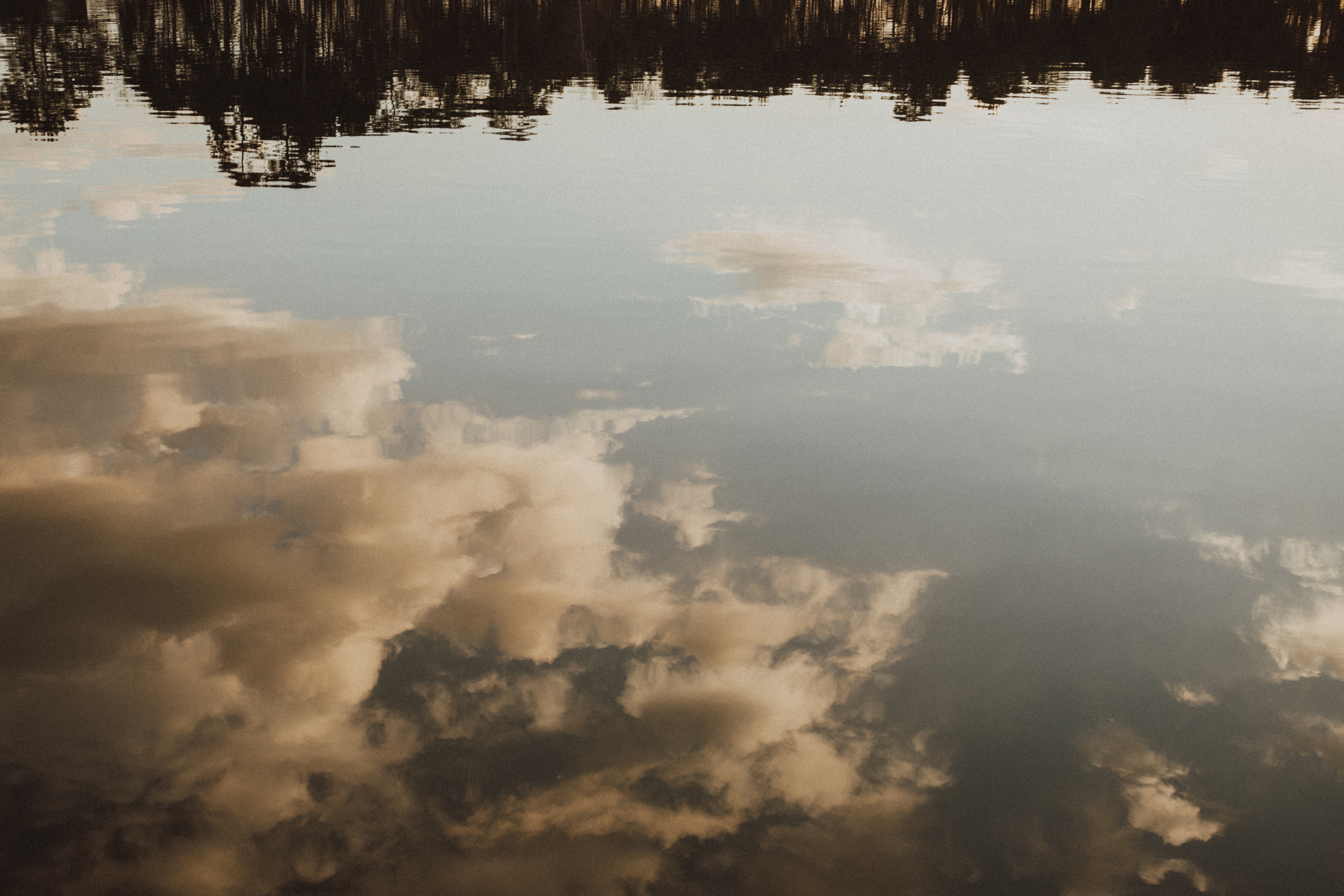 VASILLIY ALINA. Fotograf Mykhalchuk Inna Kraków