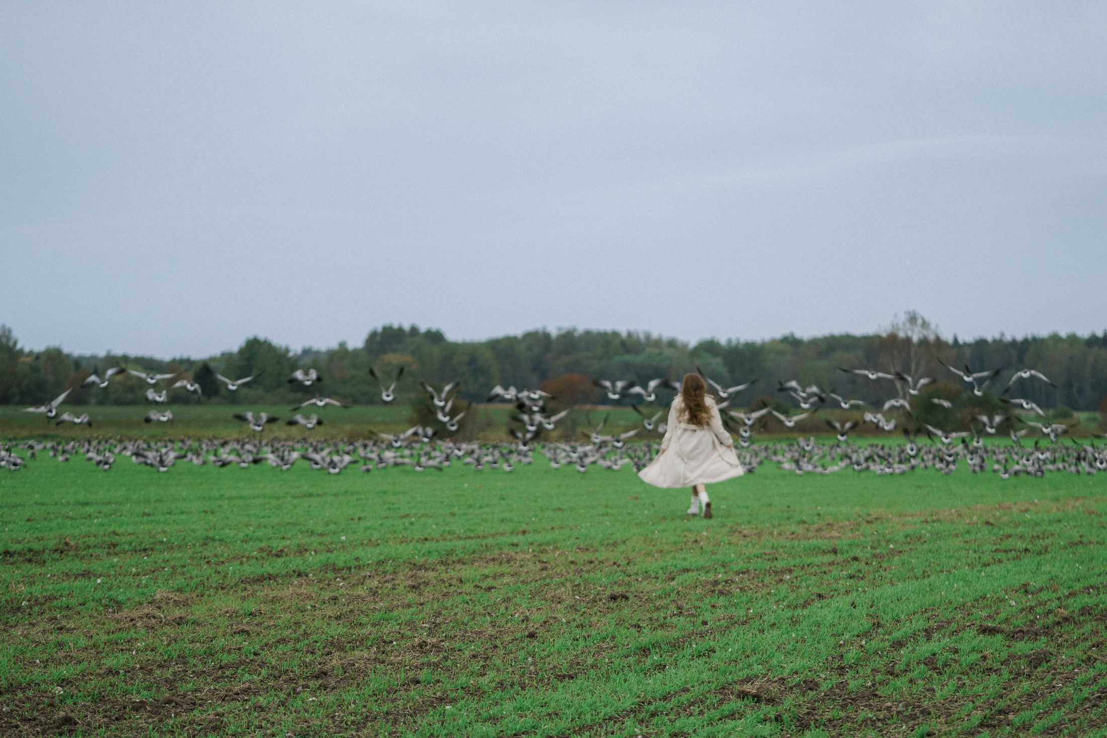 Syksyinen kuvaus rakkaan lemmikin kanssa