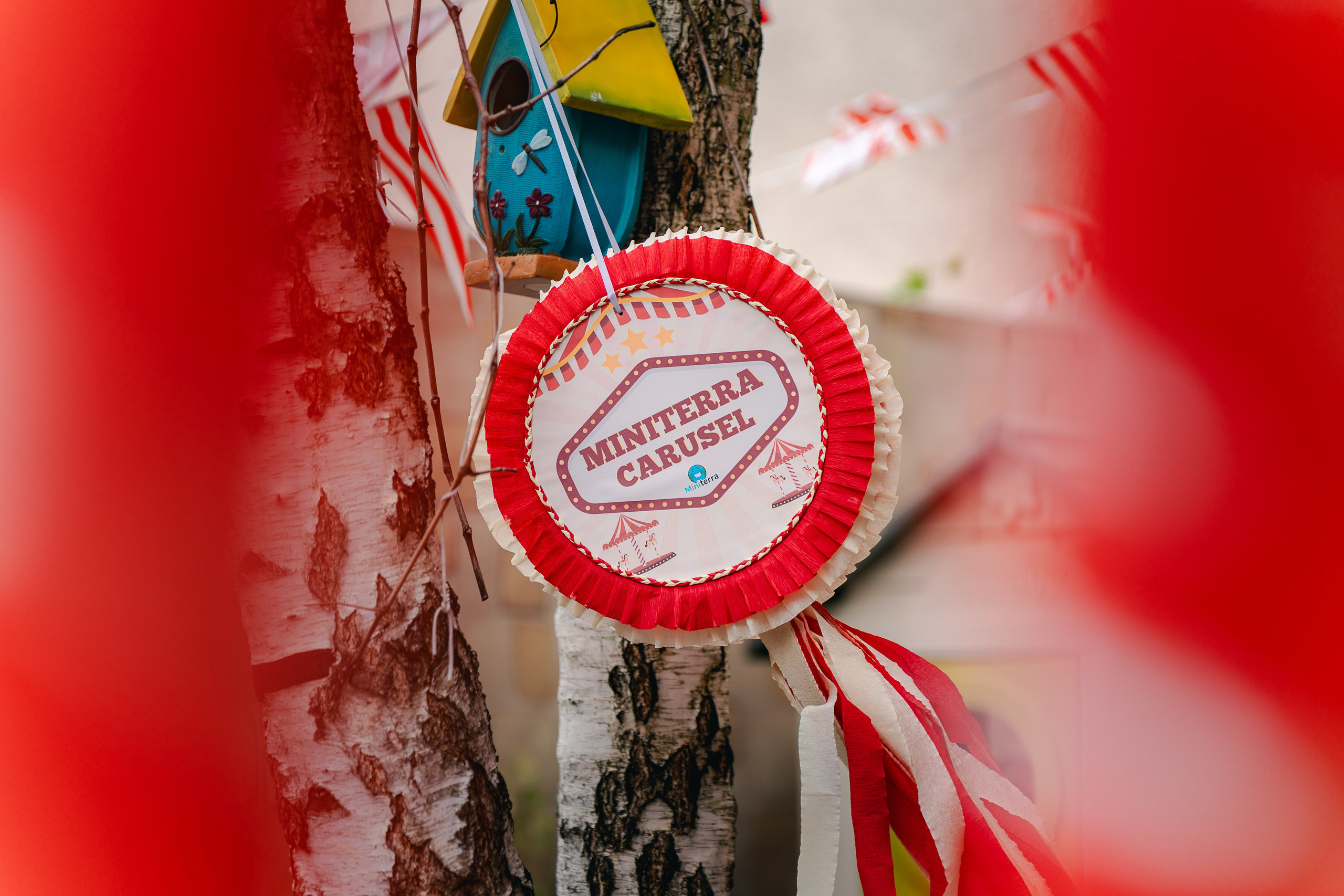 Miniterra Carusel. Liviu Andrei - Fotograf