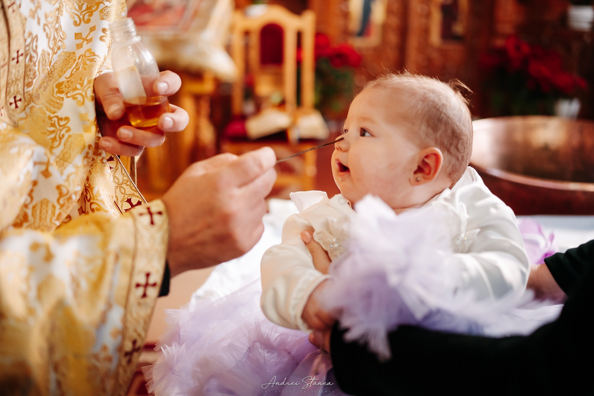 Zenayda. Andrei Stanea