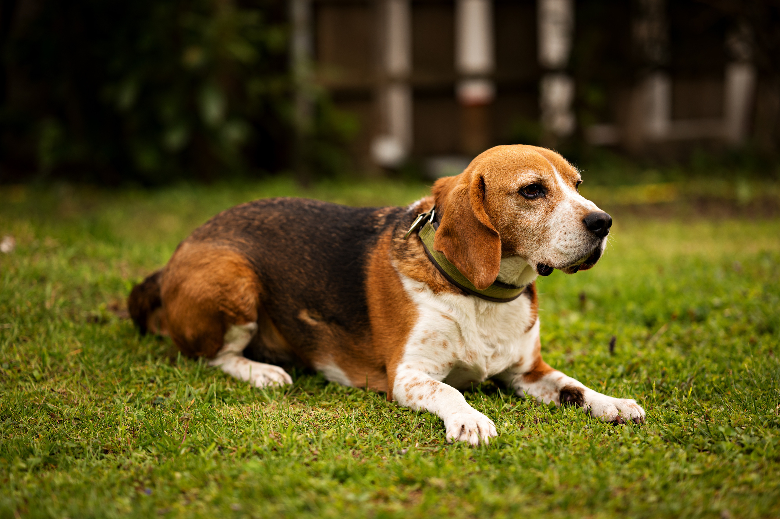 Tiere. Kinder- & Familienfotograf in Gaildorf und Umgebung Valentina Vogel
