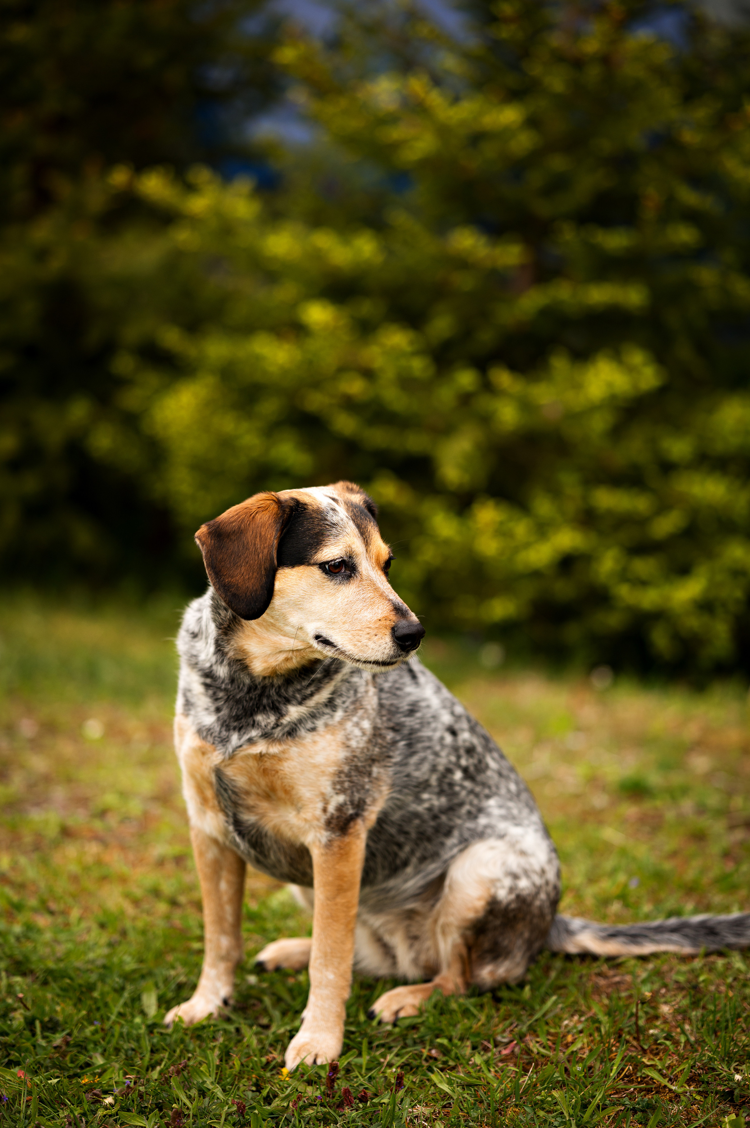 Tiere. Kinder- & Familienfotograf in Gaildorf und Umgebung Valentina Vogel