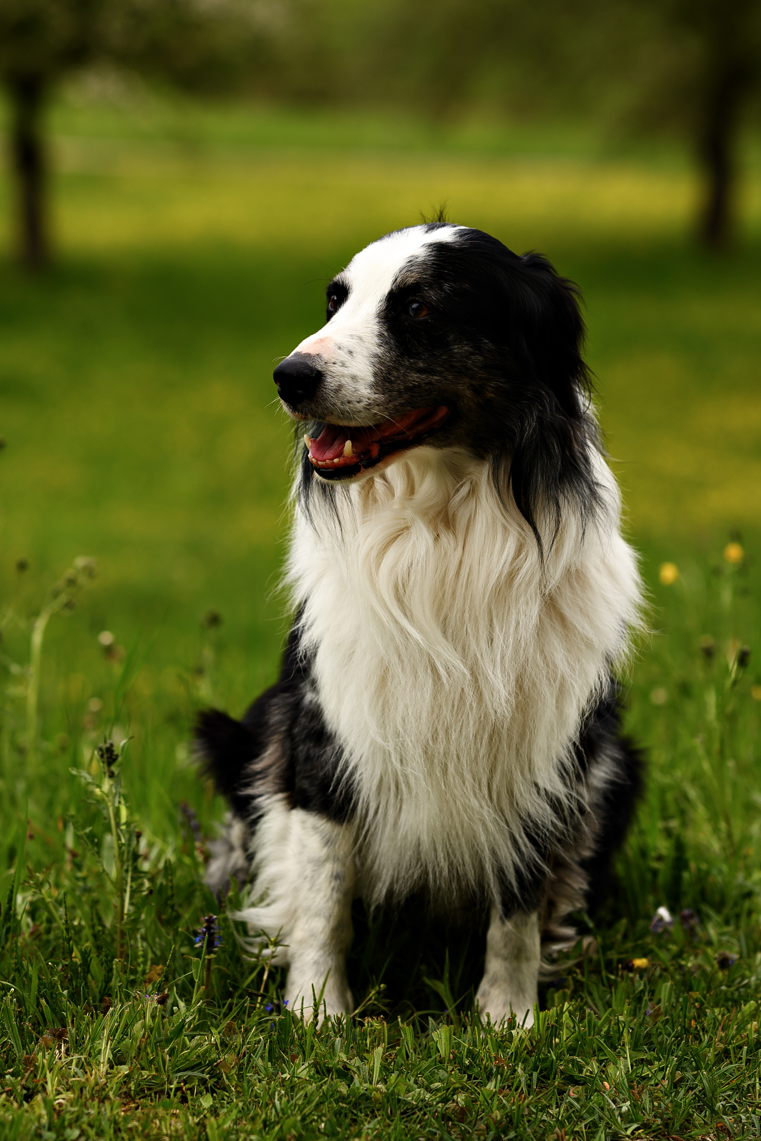 Tiere. Kinder- & Familienfotograf in Gaildorf und Umgebung Valentina Vogel