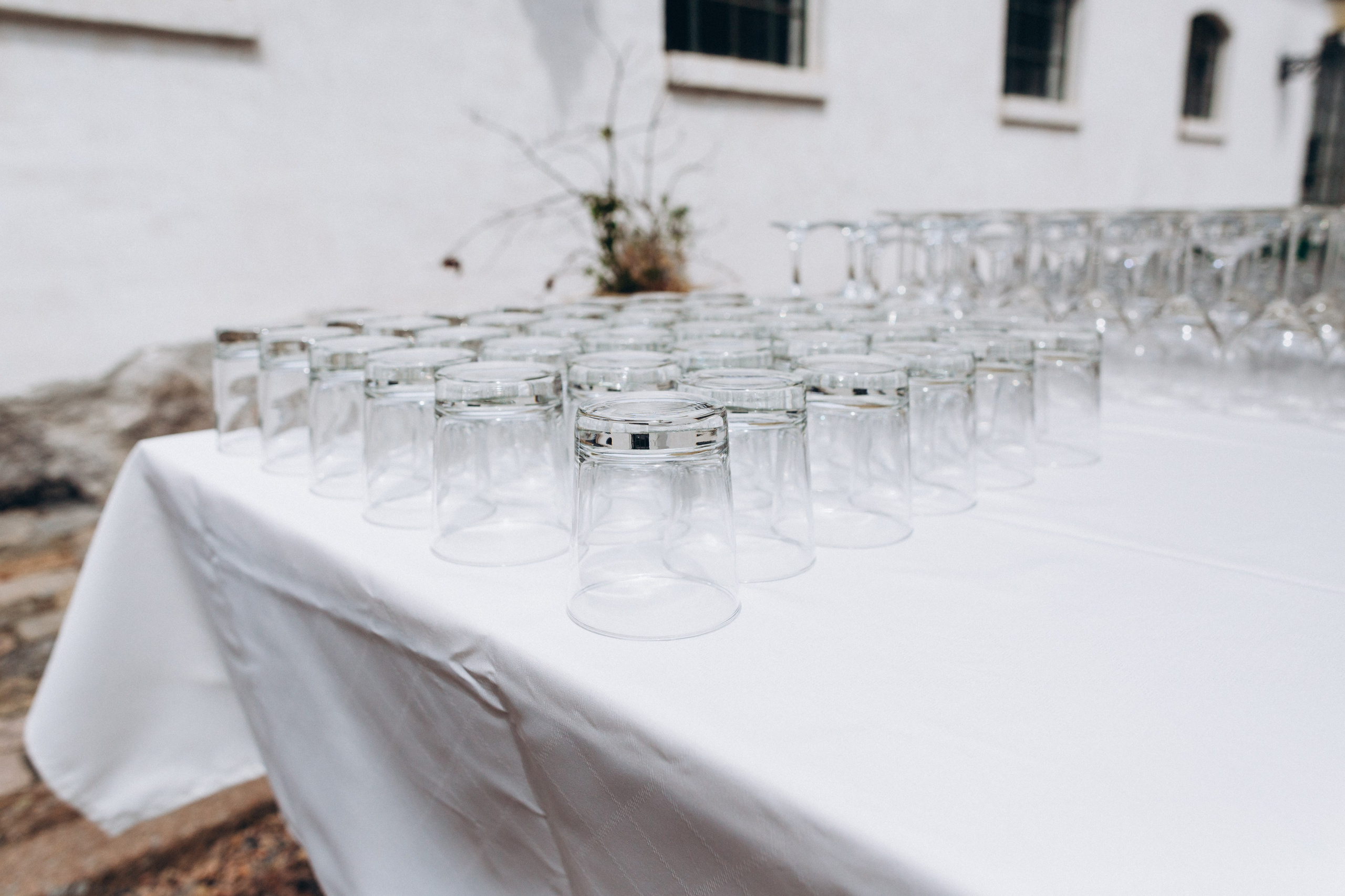 Snezhana & Max. Wedding and Family Photograph