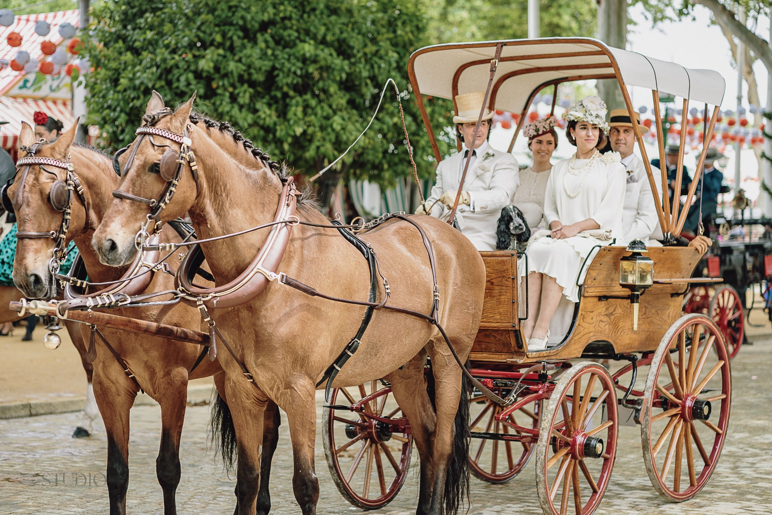 Sesión de fotos en feria de Abril de Sevilla. Inicio