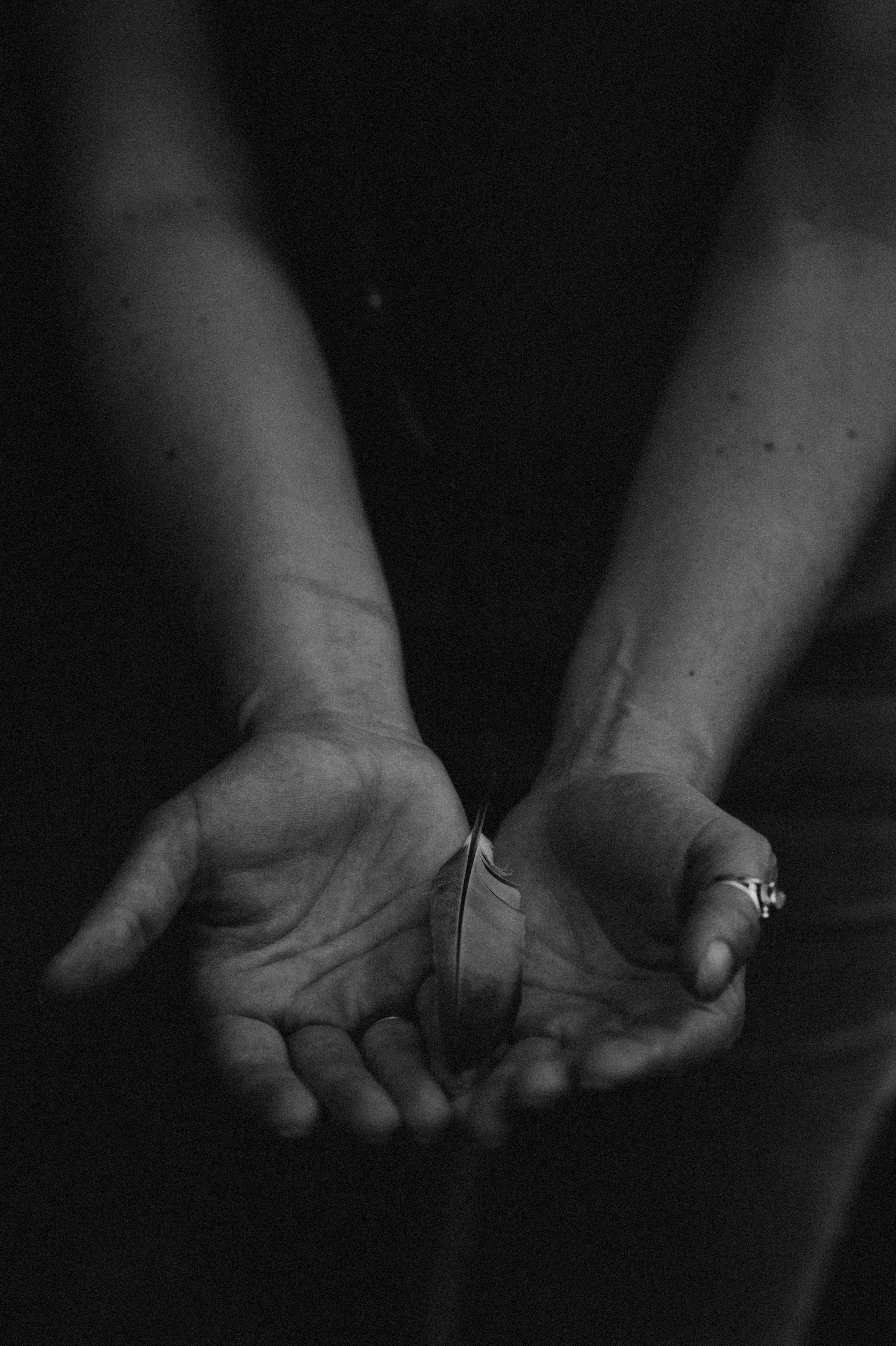 EARTH HARMONY. Фотограф в Нюрнберге Ирина Менерт из Ансбаха