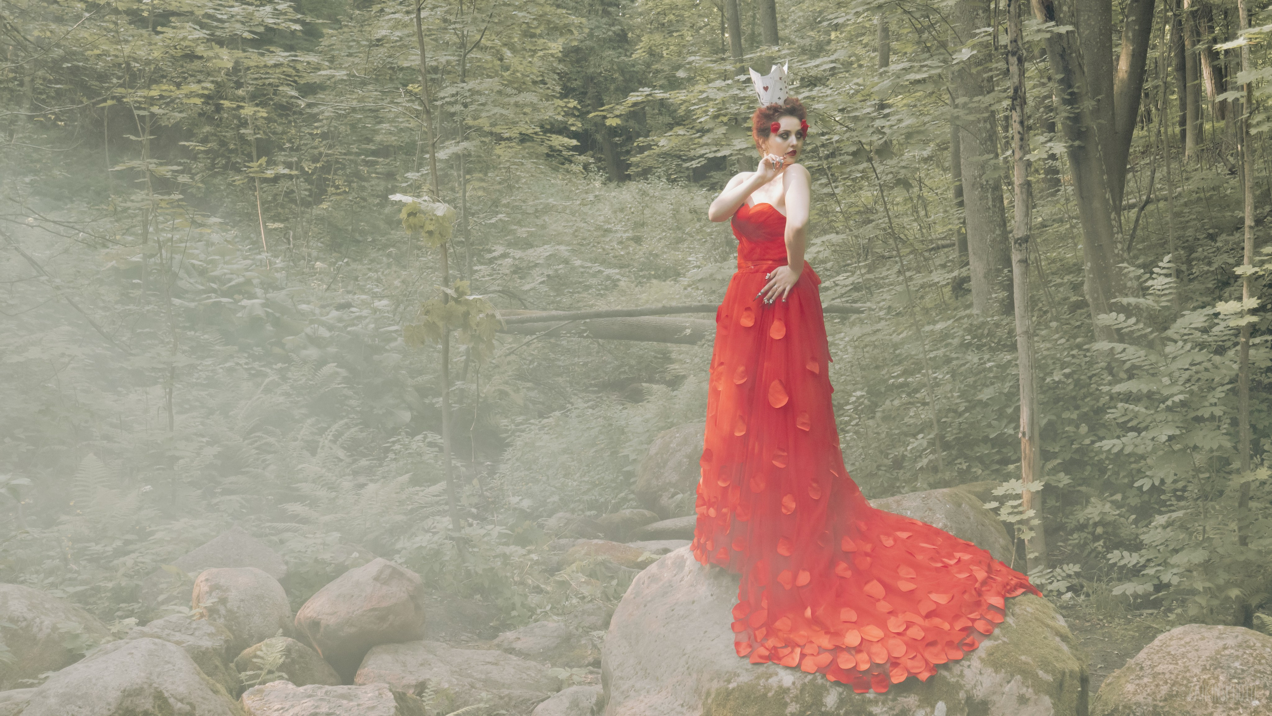 Alice In Wonderland. Main