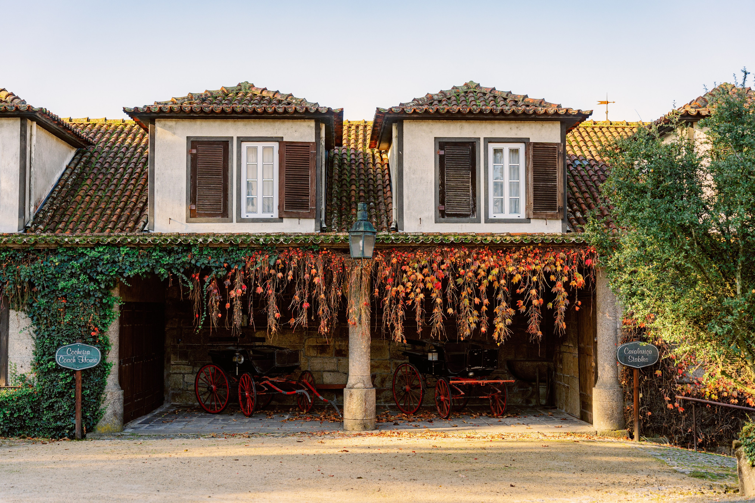 Винью Верде на ½ дня