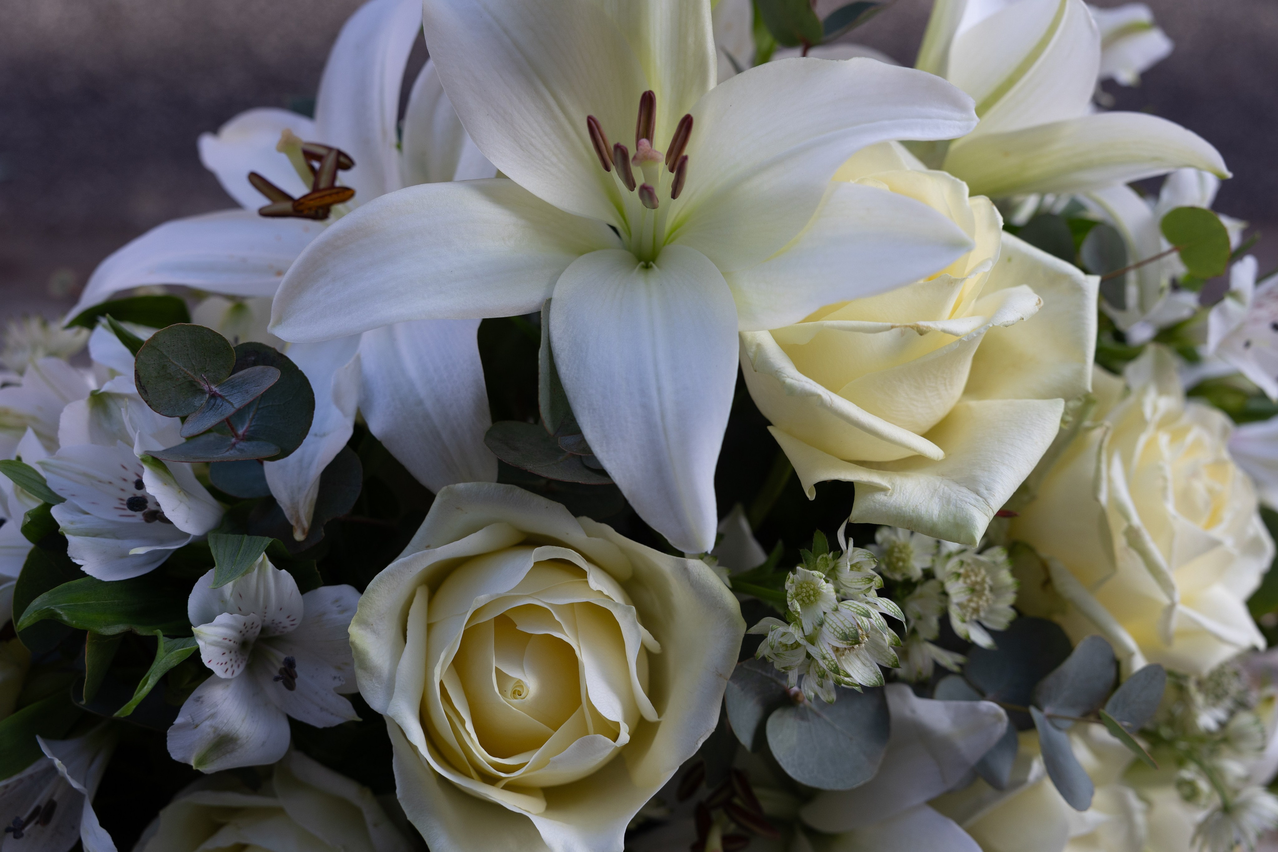 Smuk båredekoration opbygget i oasis med højde og længde på blomsterstilkene. Båredekorationen er elegant kombineret i de creme-hvide nuancer. Et smukt farvel, som lyser kirkegulvet op til alle årstider.