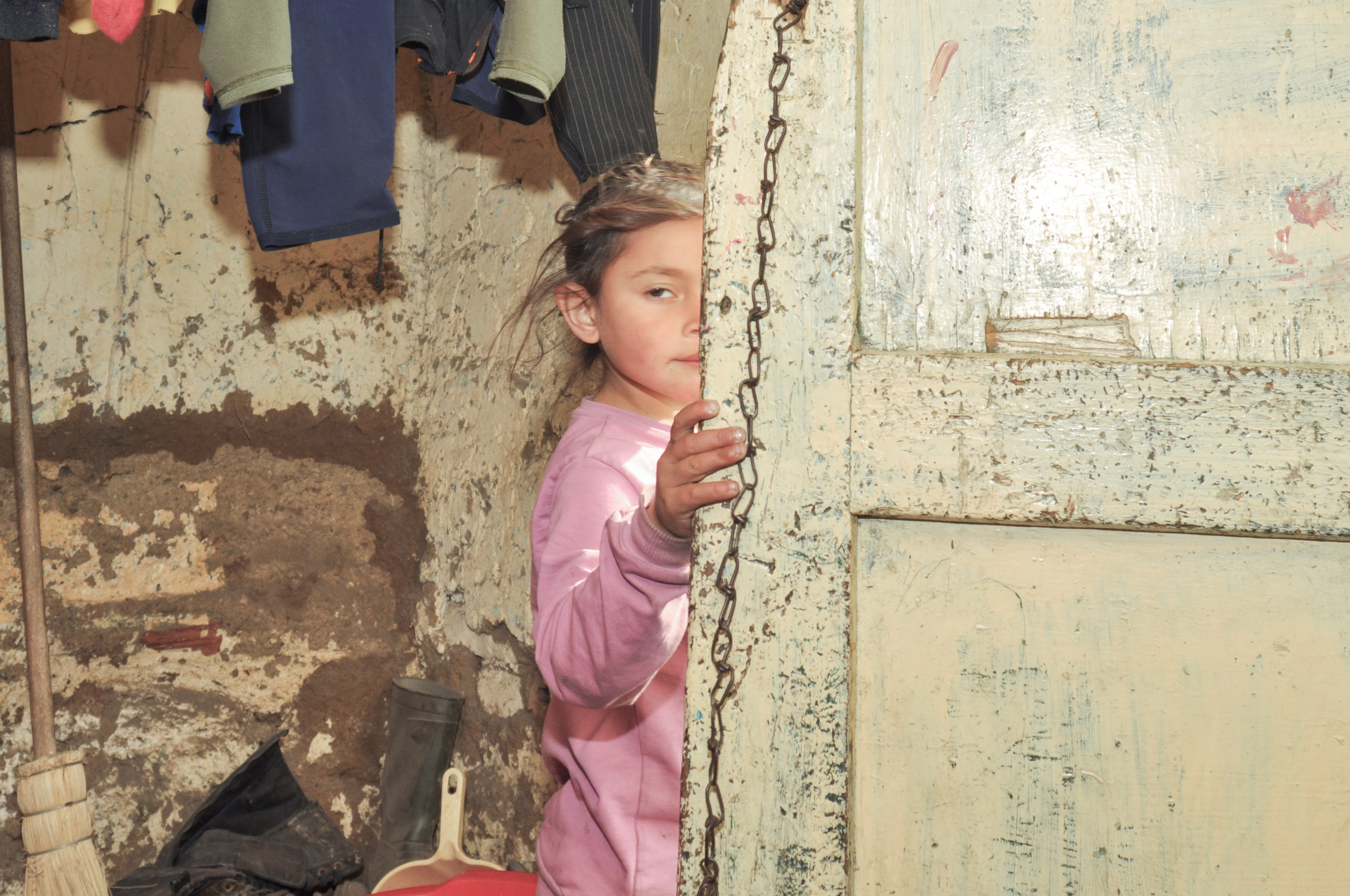 Hope for Cherry Blossom. Mayya Kelova artist