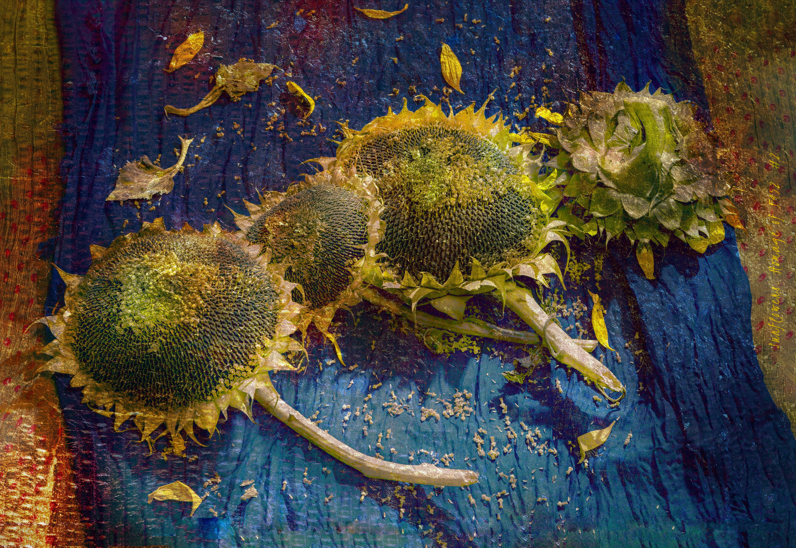 Van Gogh and the Sunflowers. Tribute. Fine art portrait. Director, Photographer and Artist in Valencia Natasha Bogomolova