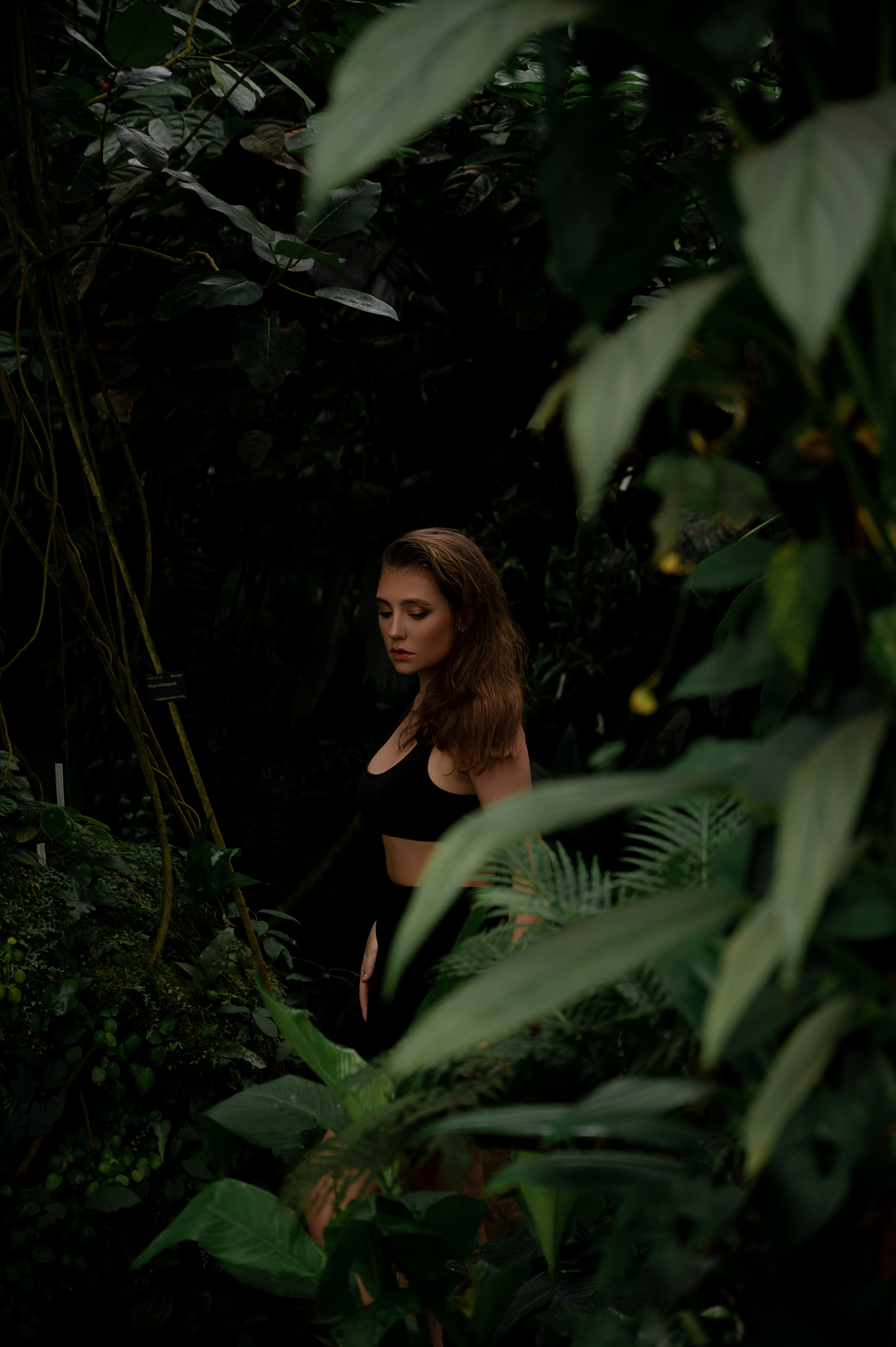 CannaXlife CBD products. ANNA-MARIA PHOTO CONTENT CREATOR — фотограф, естет, художник і візуальний експерт Instagram у Празі