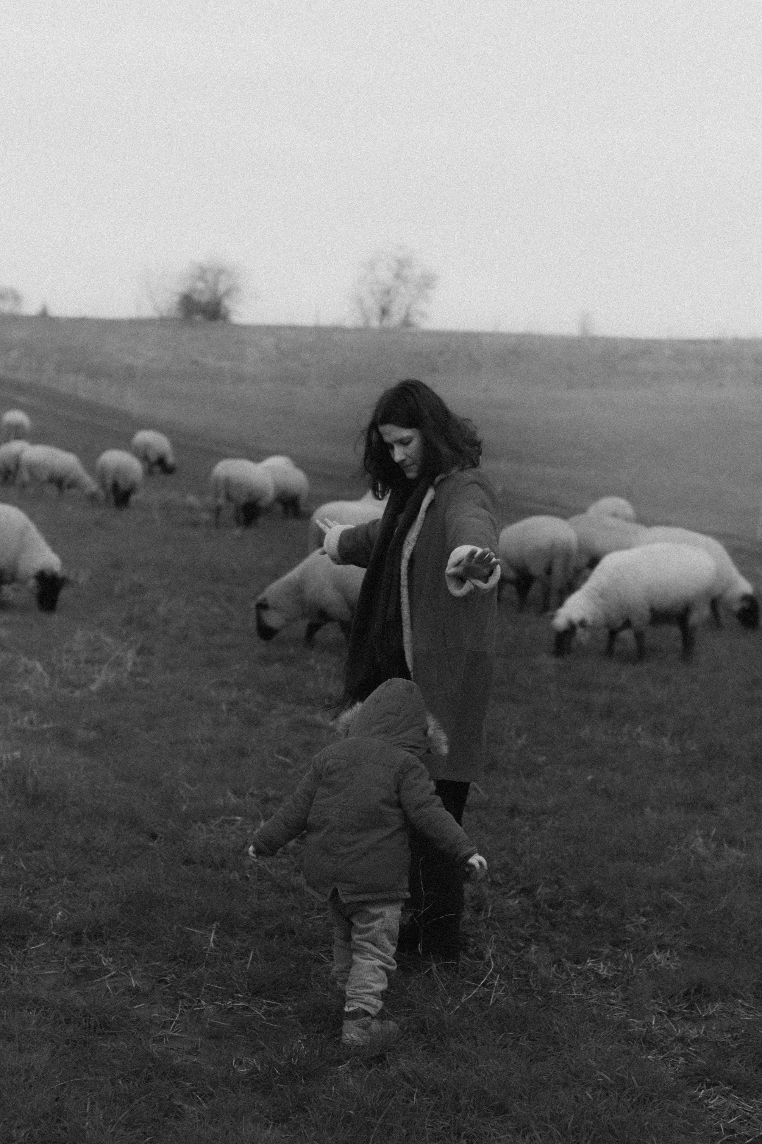 Saranev Family Photographer