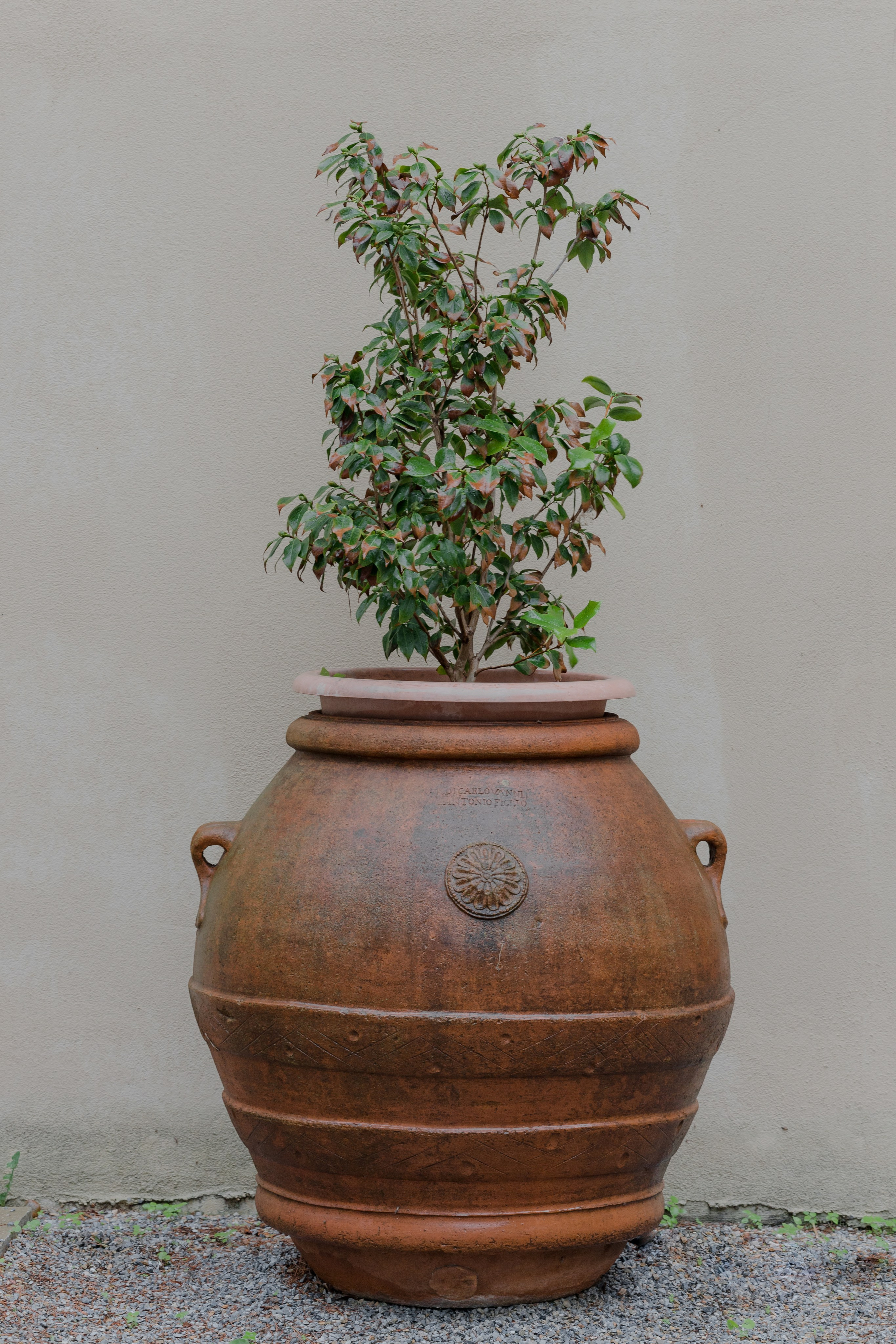 Ekateryna&David wedding in Tuscany. Wedding photographer Italy