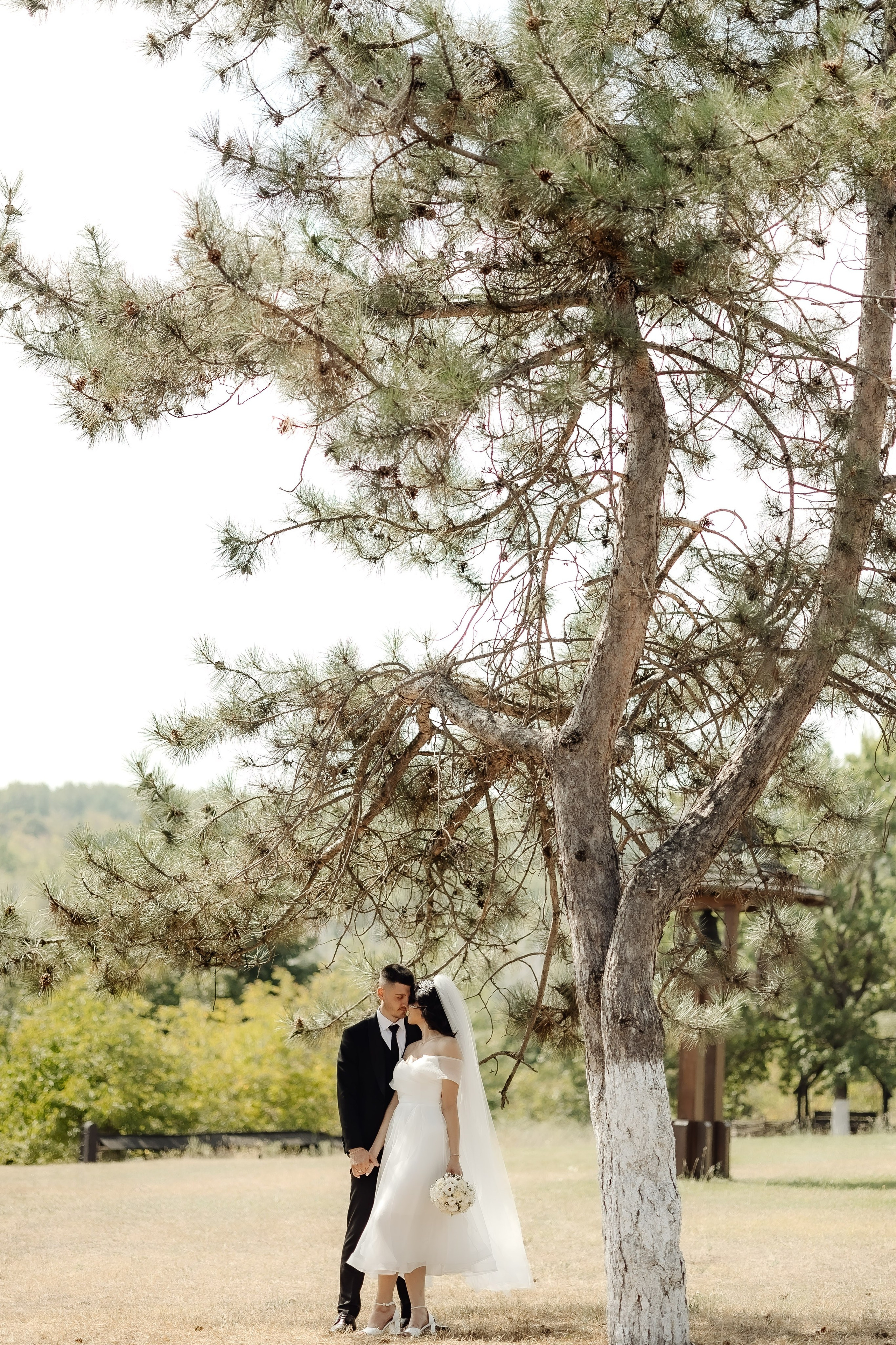 Liviu & Aurelia. Servicii Foto/Video