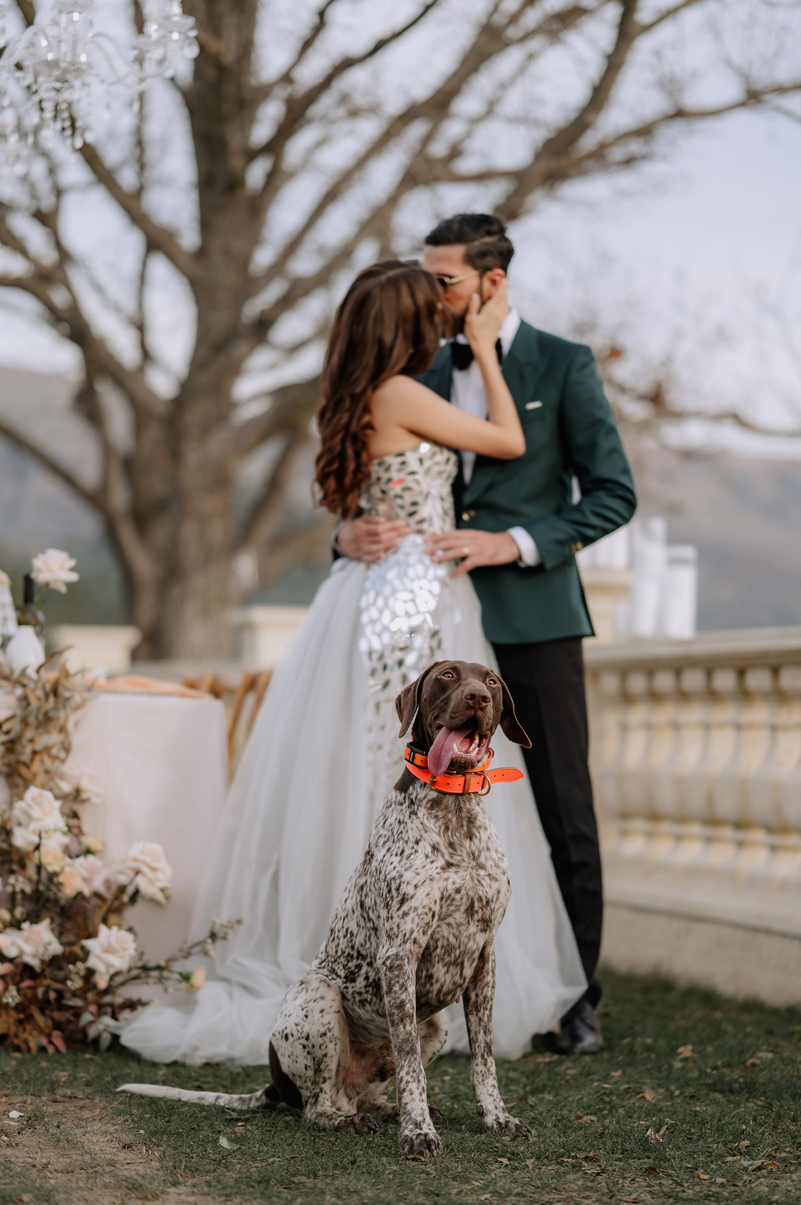 Sedinta foto in ziua nuntii. Proud Vision Weddings | Wedding Photography & Film — Servicii profesionale Foto Video Nunta Iasi