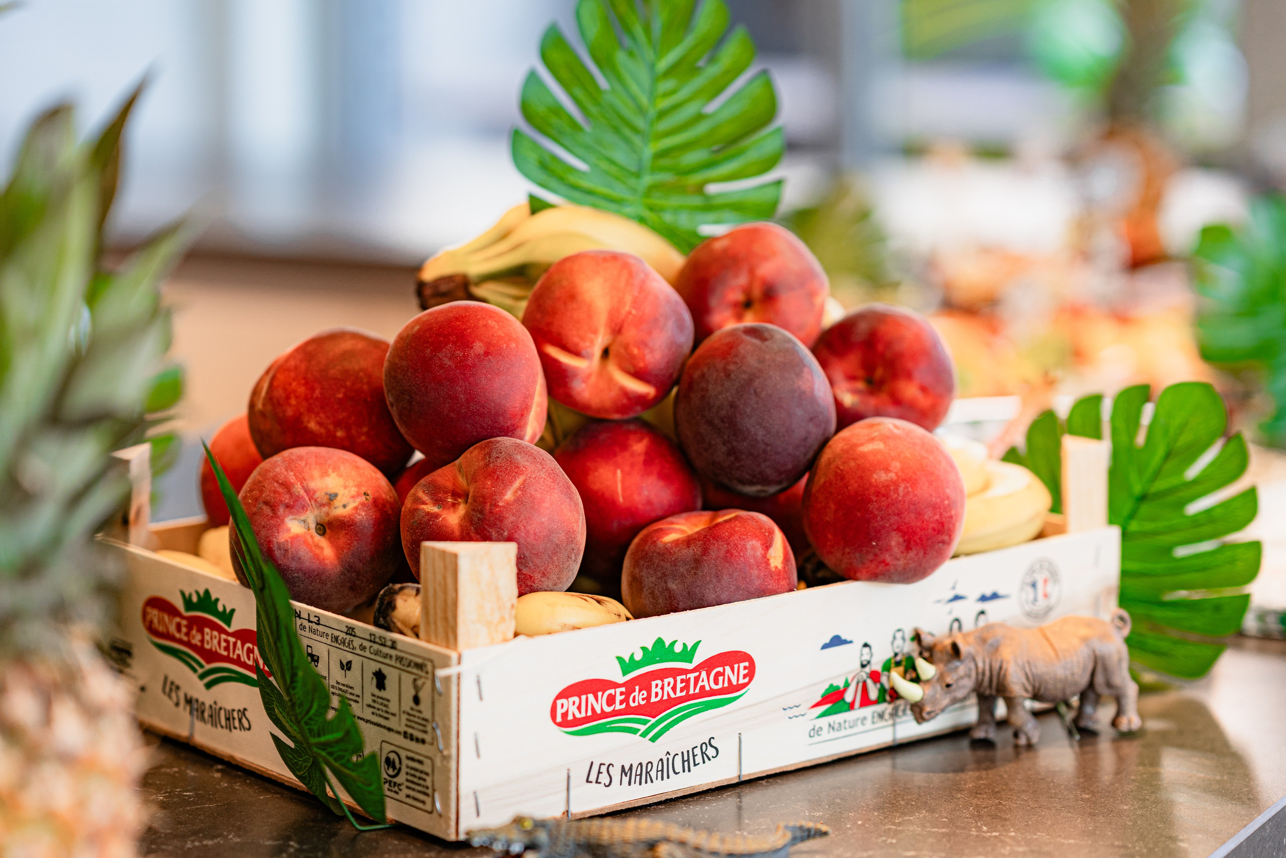 One year. Tonya Kyrylenko photographer in London