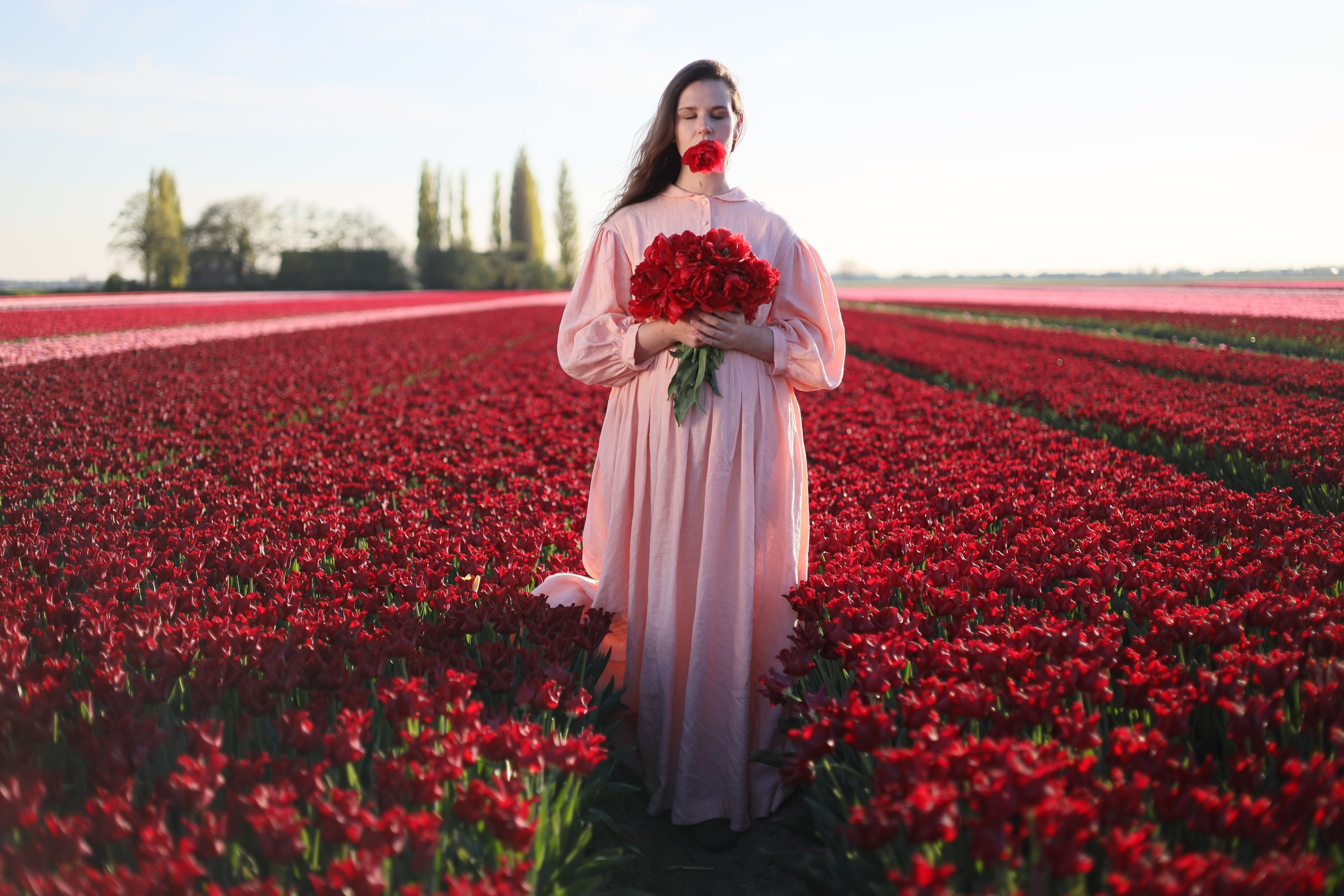 Tulip fields. Oxana Kirikidi Photography