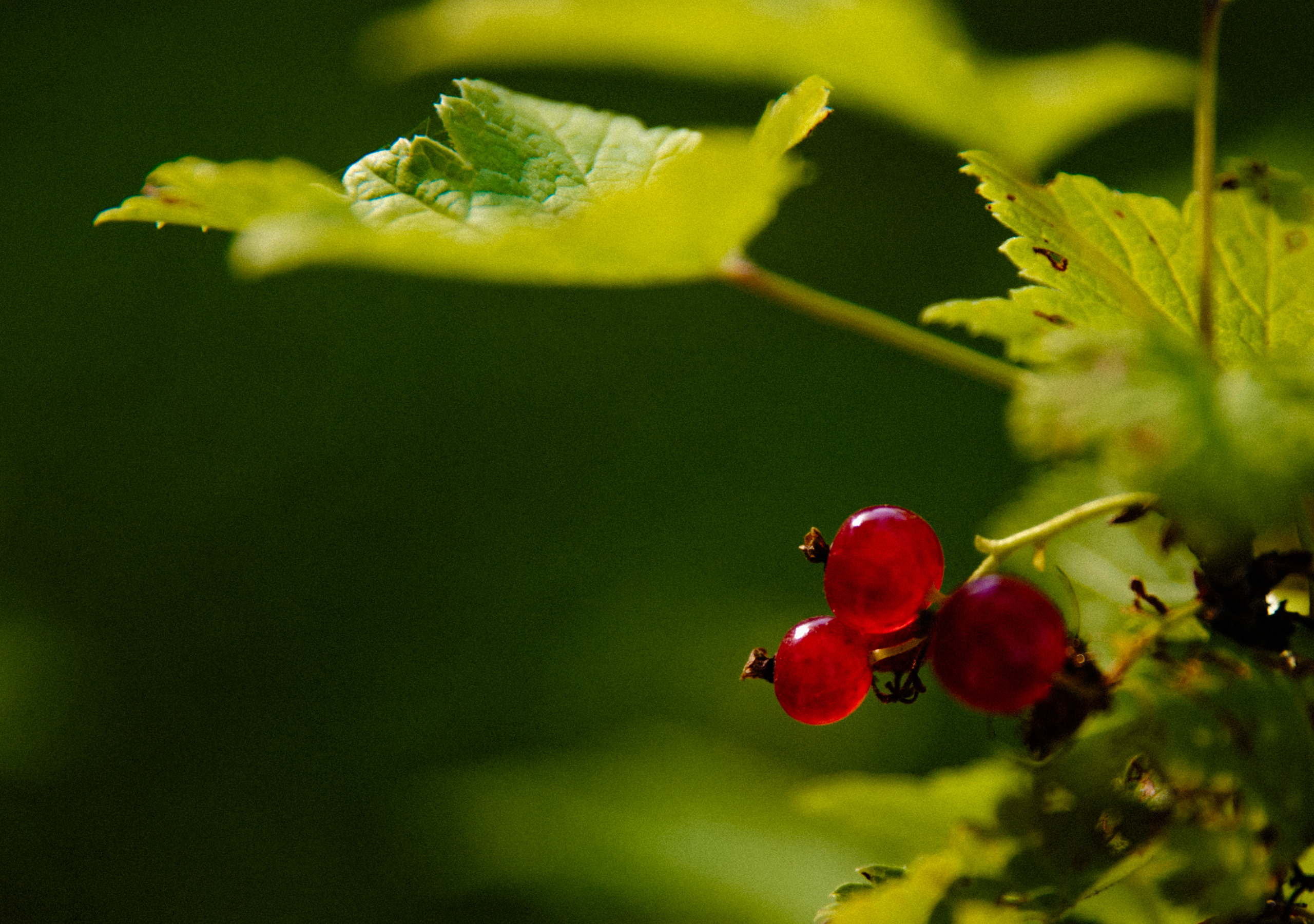 Portraits photoshoot — The power of women. Timeless Wedding & Event Photography — based London, working across Europe