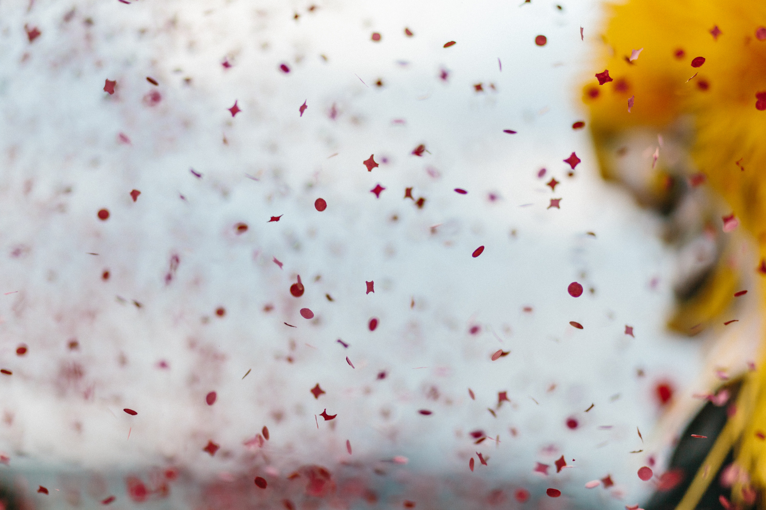 Basler Fasnacht. Maria Chistyakovа — Fotografin in Karlsruhe, Baden-Baden und Umgebung