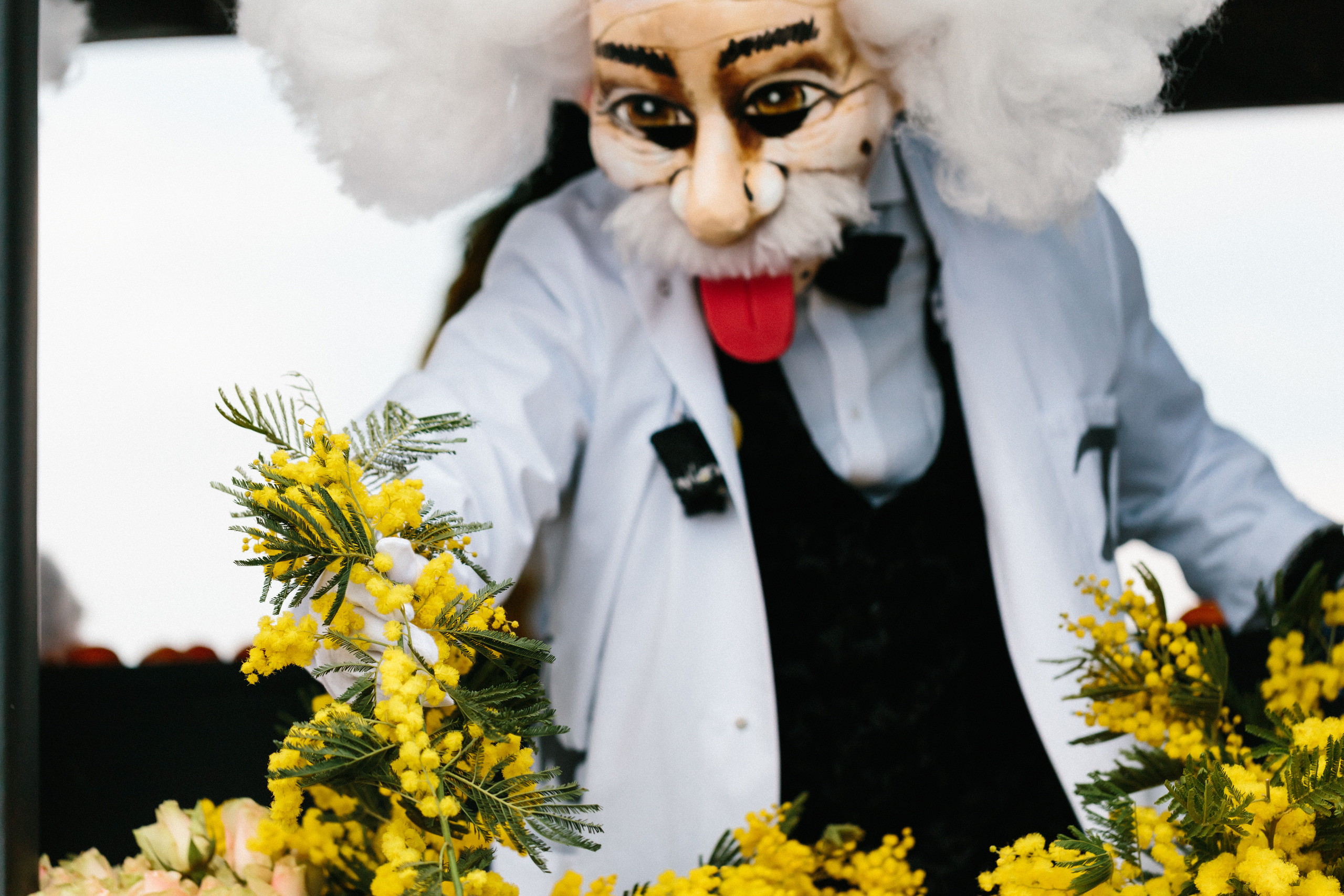 Basler Fasnacht. Maria Chistyakovа — Fotografin in Karlsruhe, Baden-Baden und Umgebung